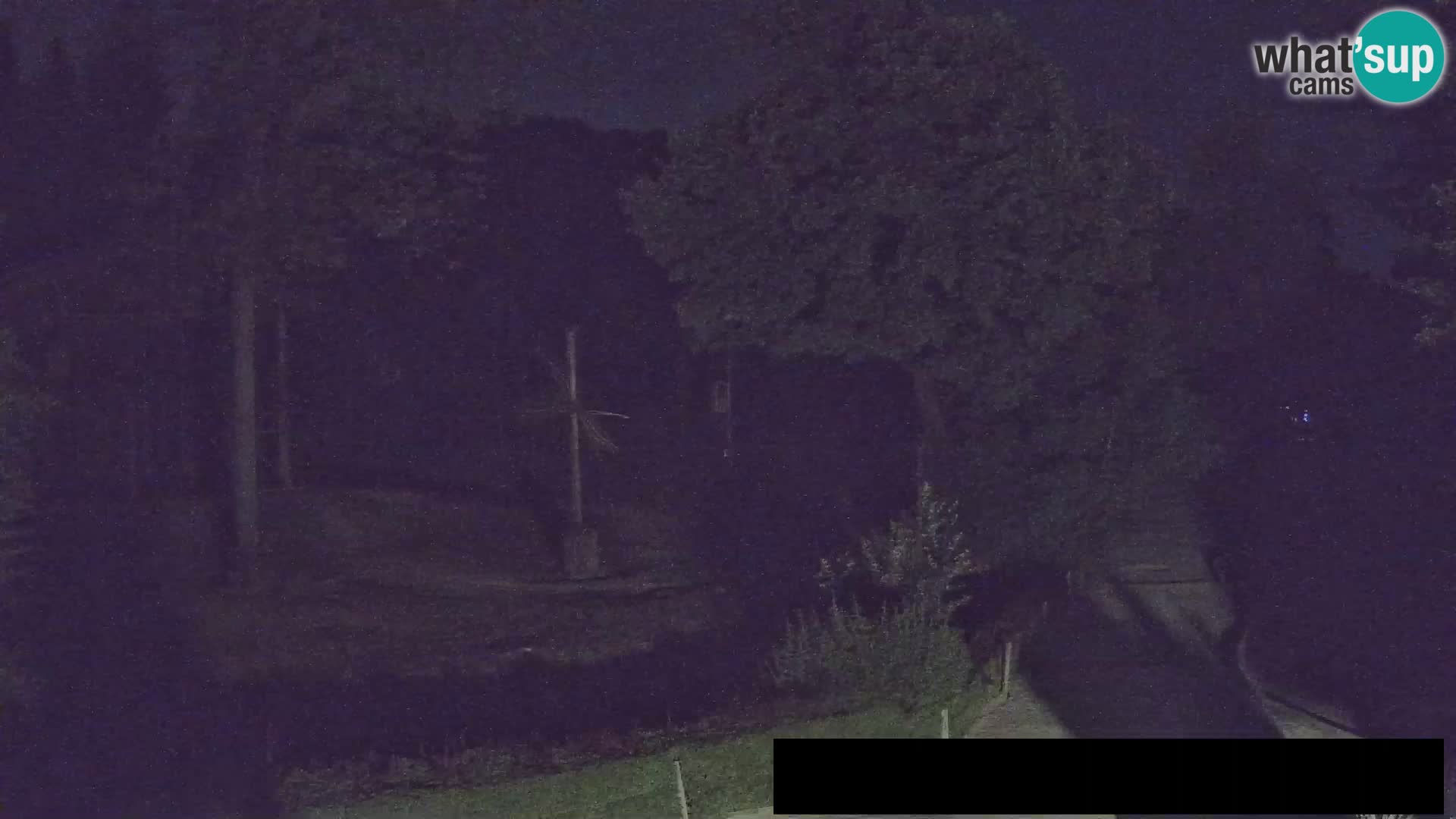 Webcam Zoo Ljubljana – Giraffes