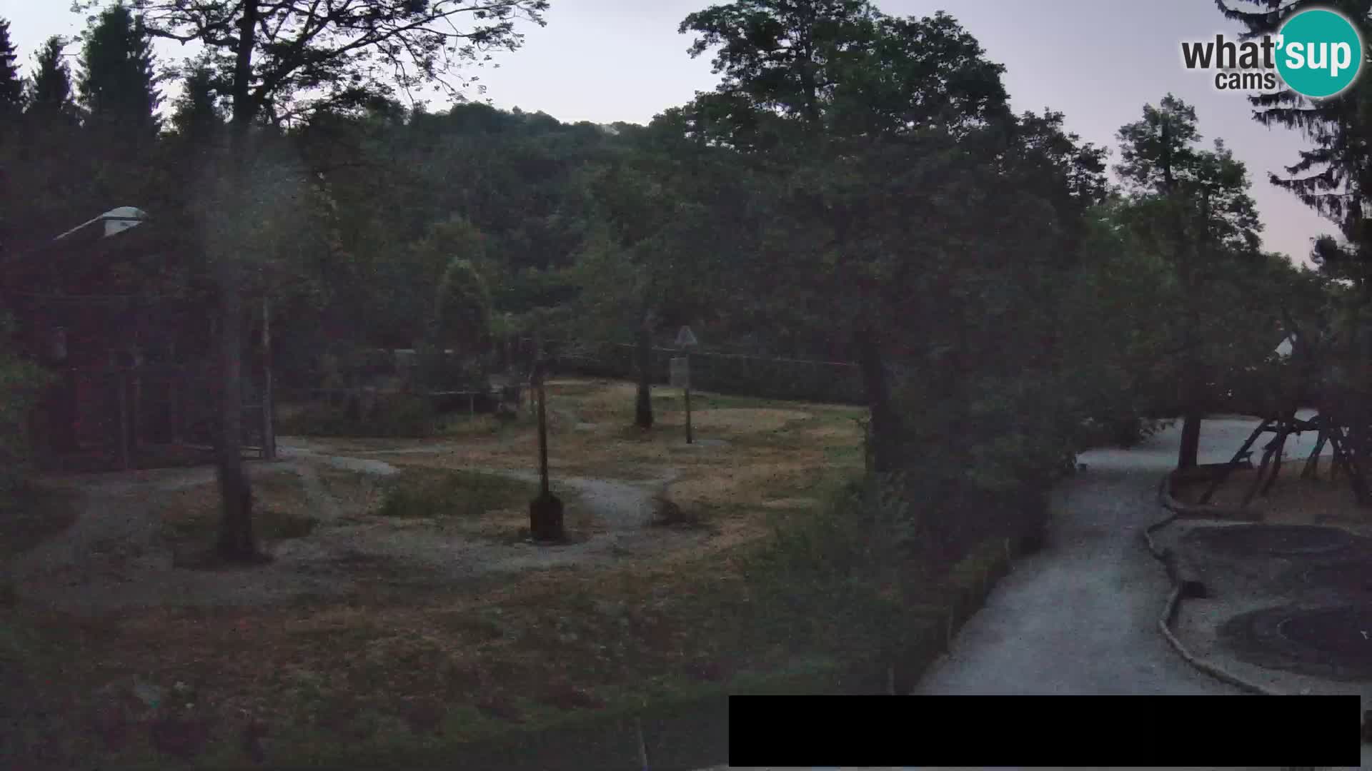 Webcam Zoo Ljubljana – Giraffes