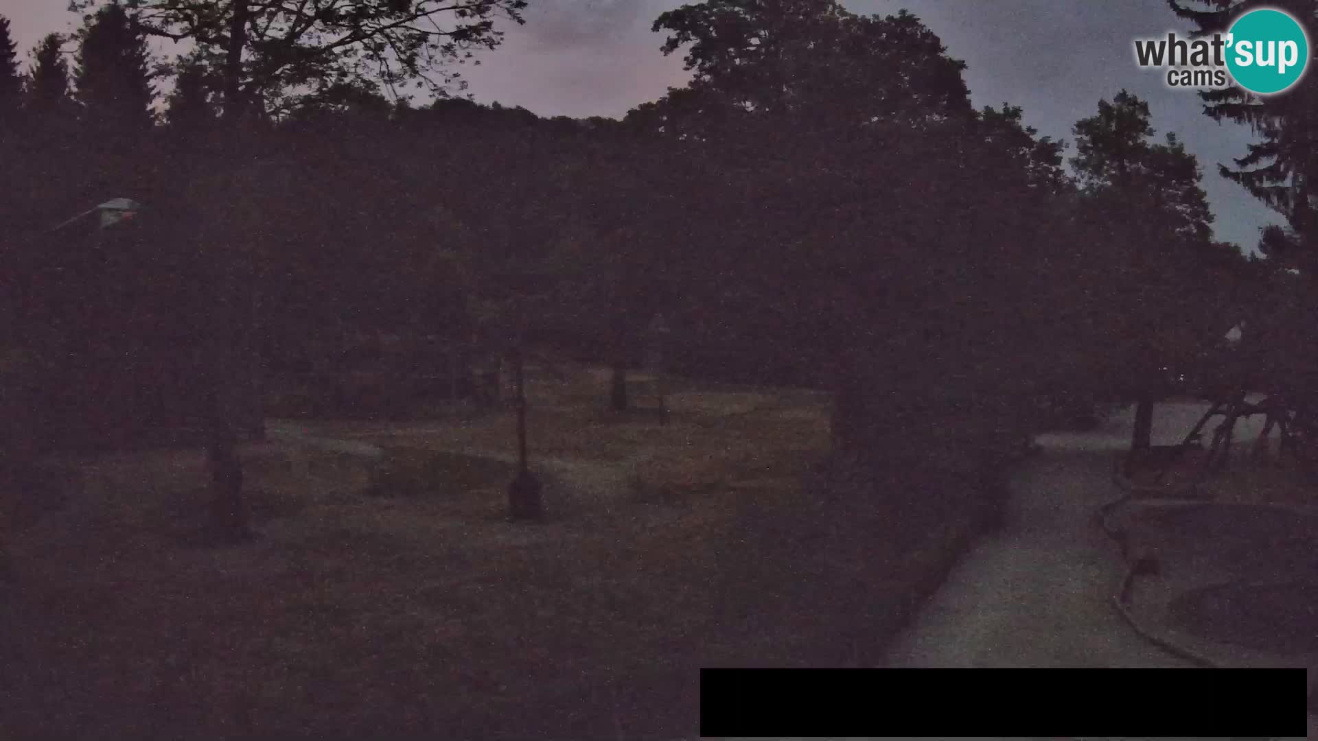 Webcam live Zoo Lubiana – Giraffe