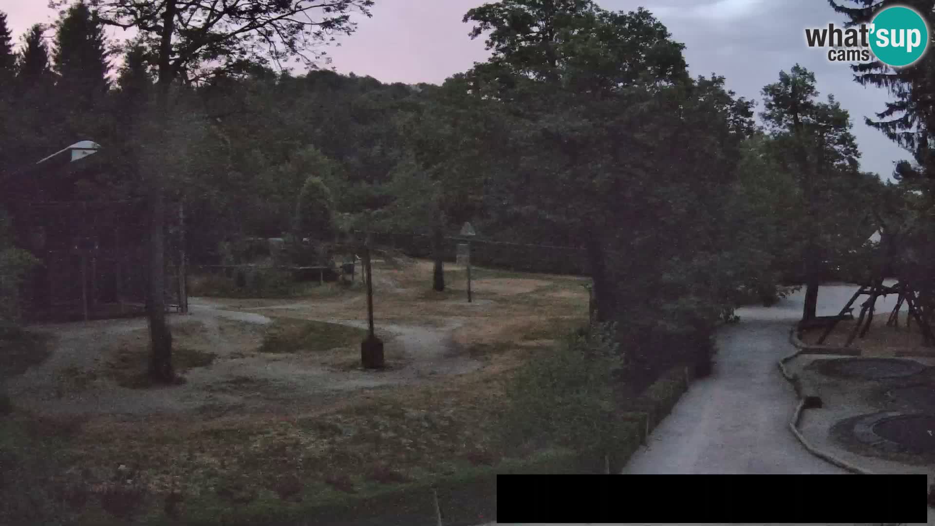 Webcam Zoo Ljubljana – Giraffes