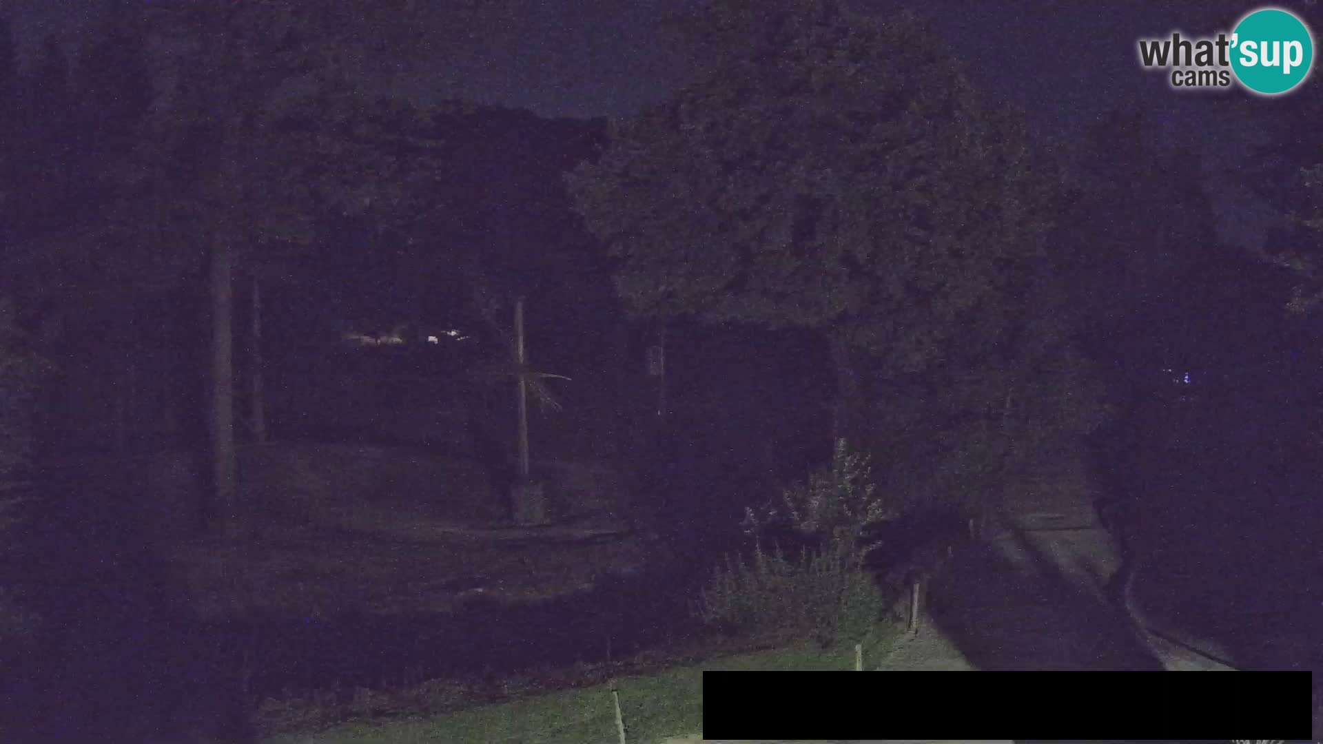 Webcam live Zoo Lubiana – Giraffe