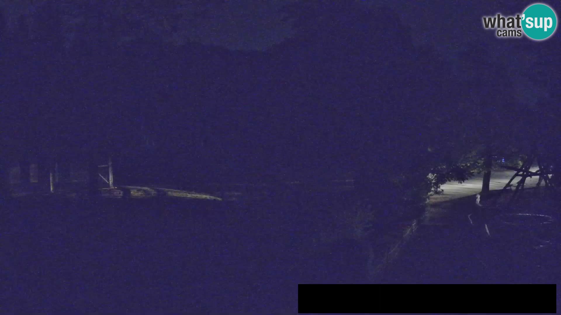Webcam live Zoo Lubiana – Giraffe