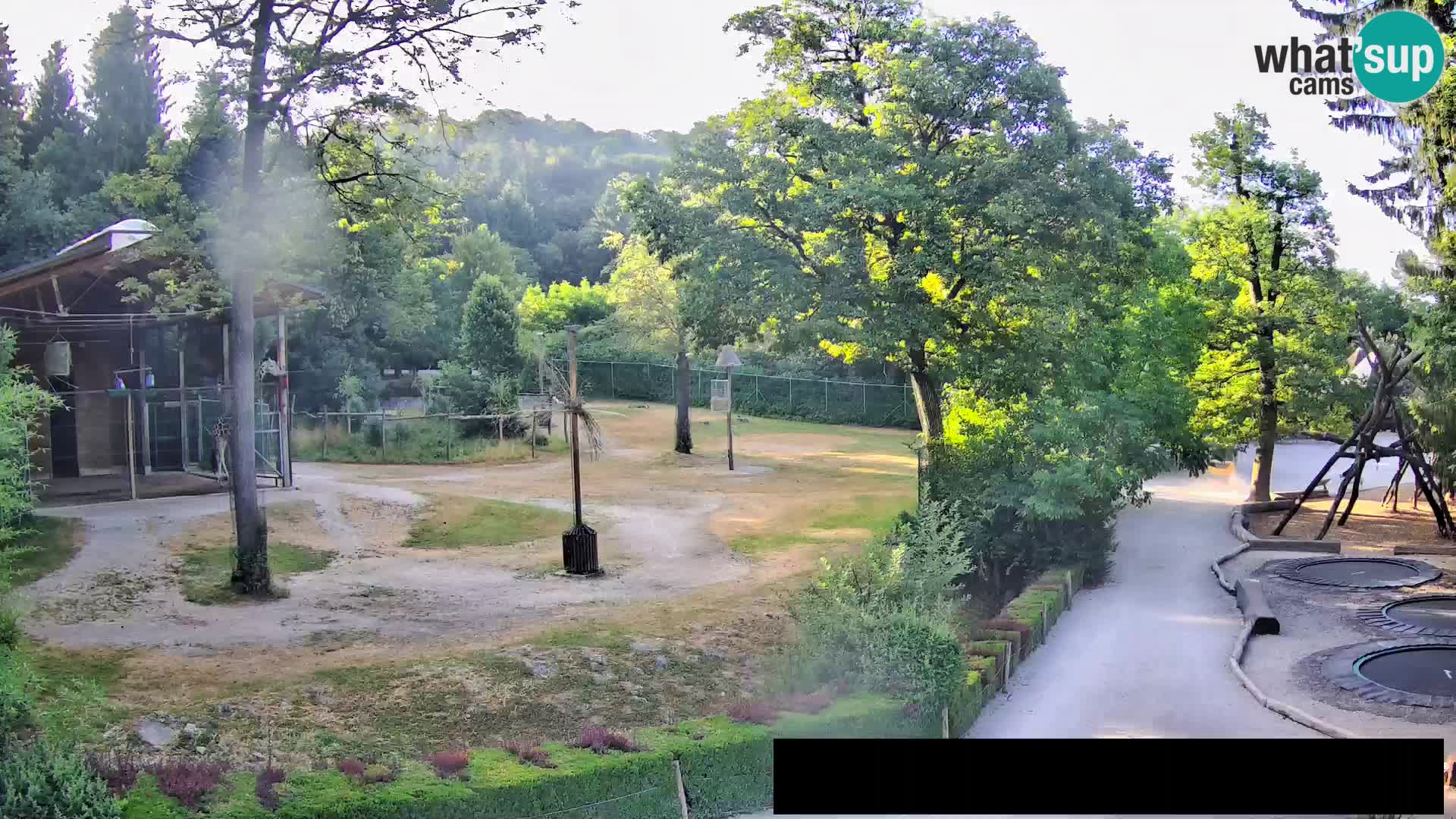 Webcam Zoo Ljubljana – Giraffes