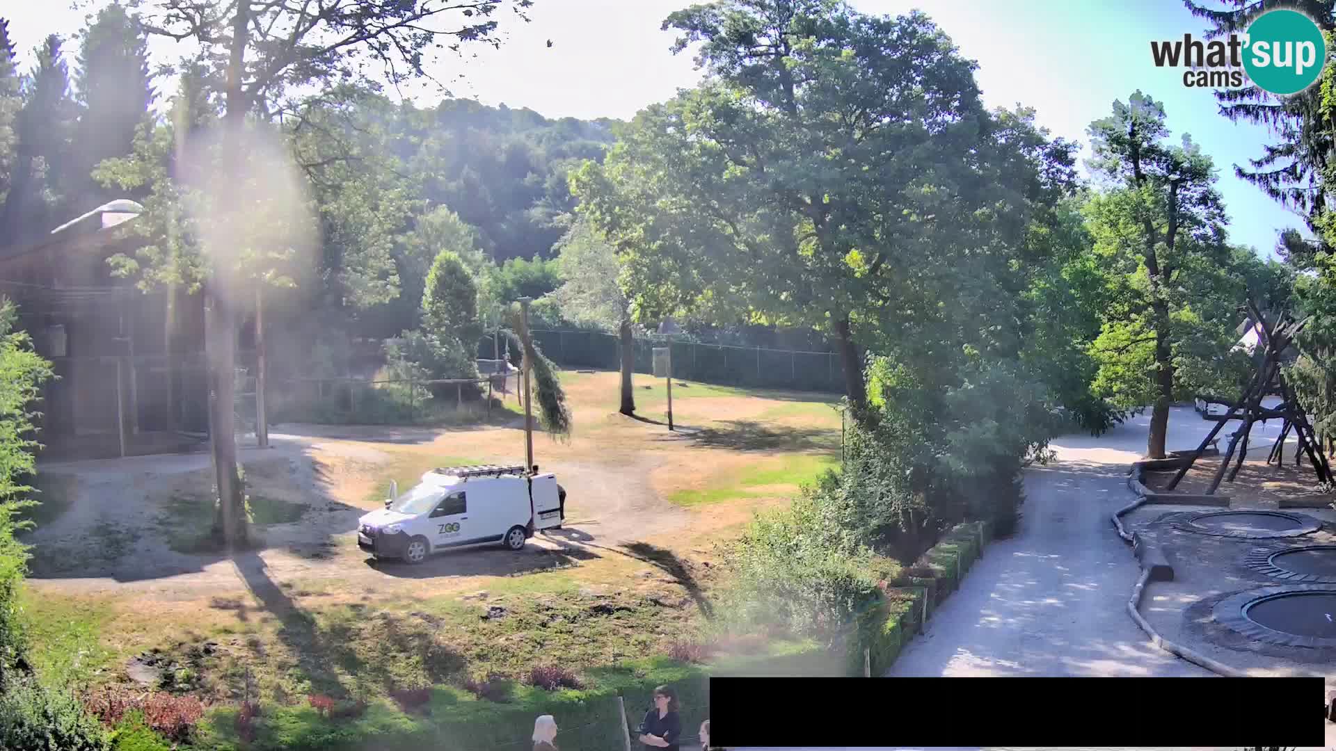 Webcam Zoo Ljubljana – Giraffes