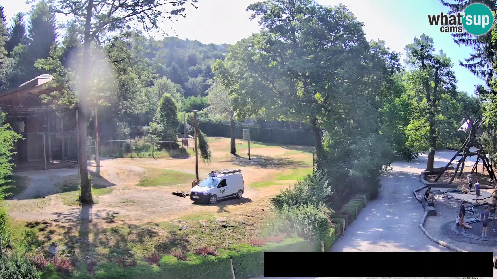 Webcam Zoo Ljubljana – Giraffes
