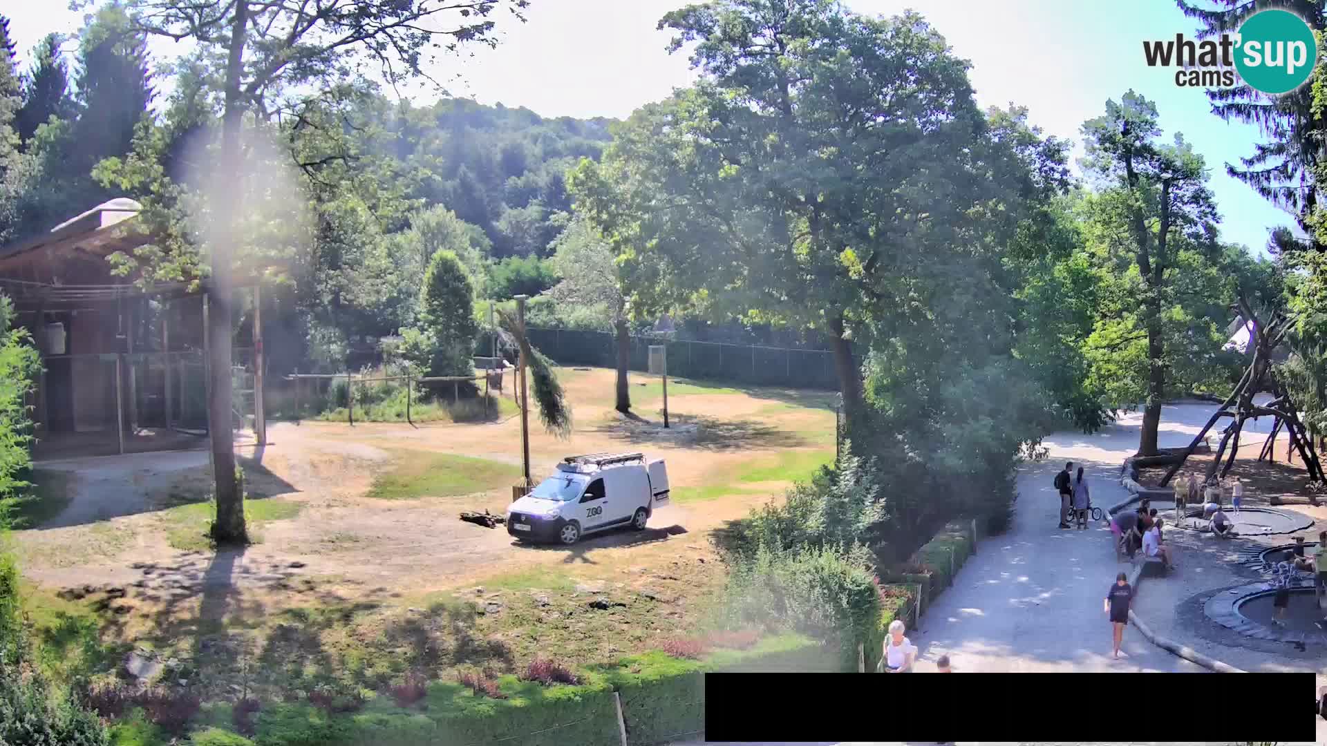 Webcam Zoo Ljubljana – Giraffes