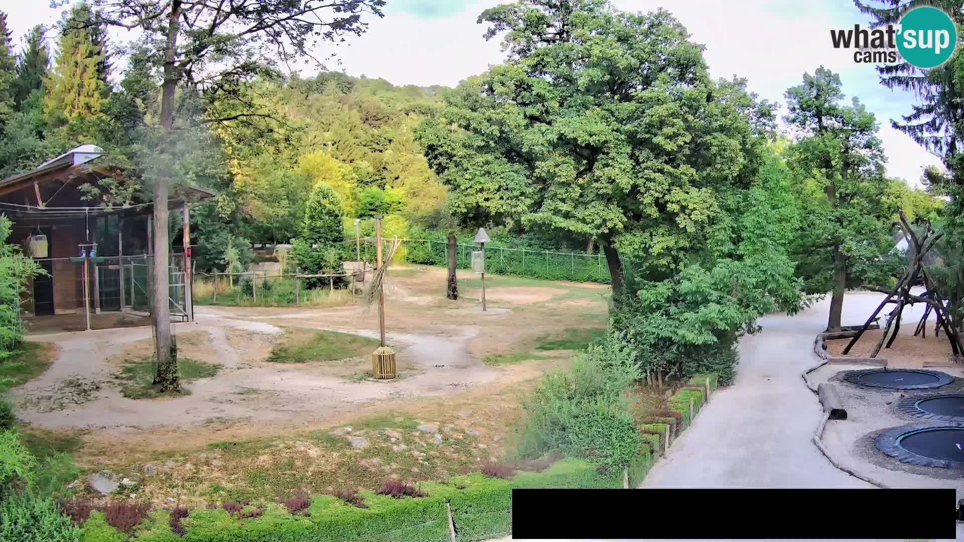 Webcam Zoo Ljubljana – Jirafas