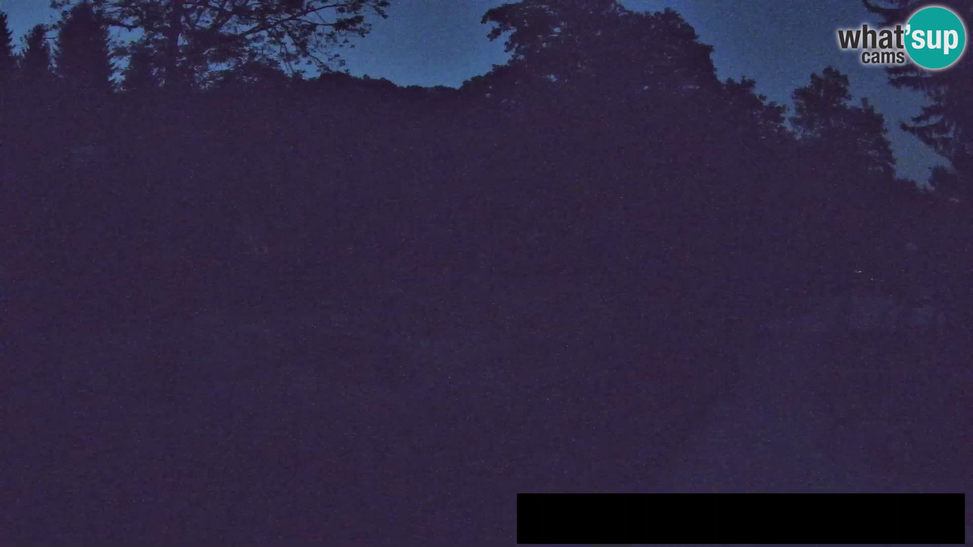 Webcam Zoo Ljubljana – Jirafas
