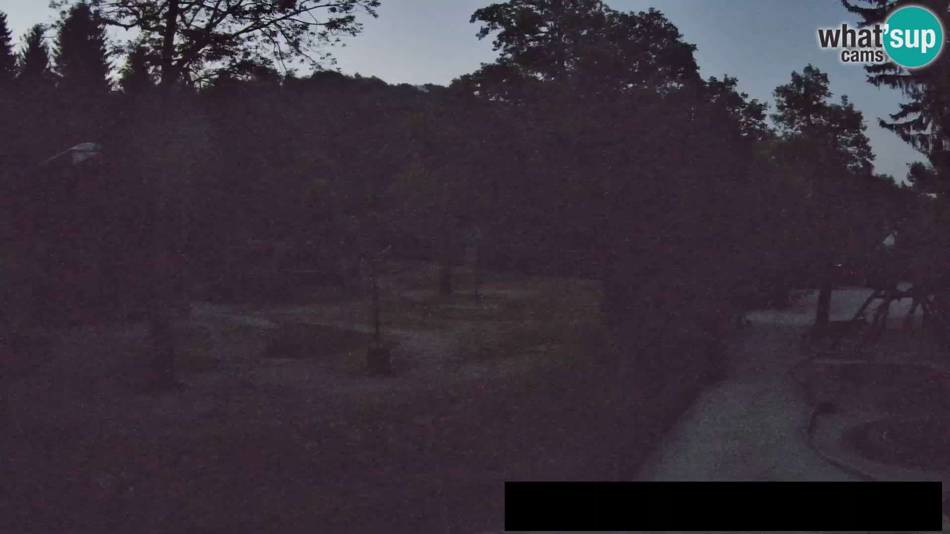 Webcam Zoo Ljubljana – Giraffen