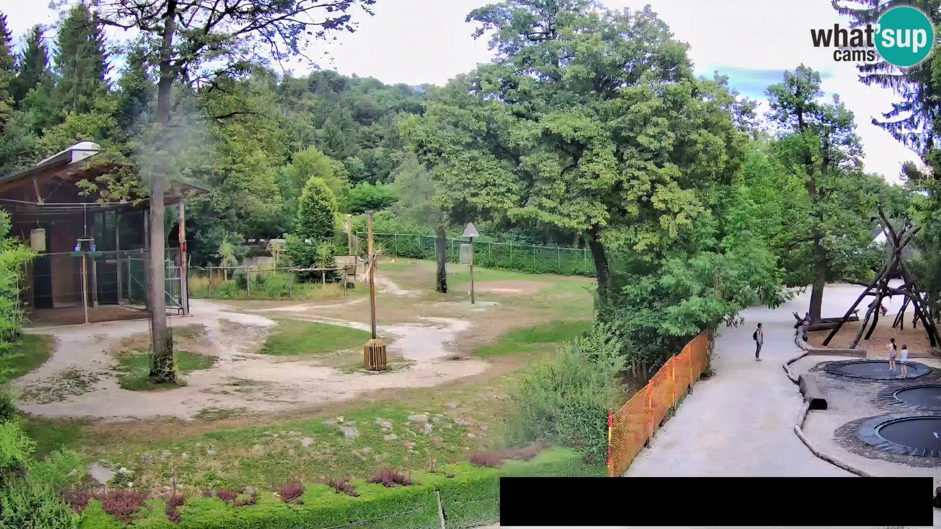 Web kamera Zoo Ljubljana – Žirafe
