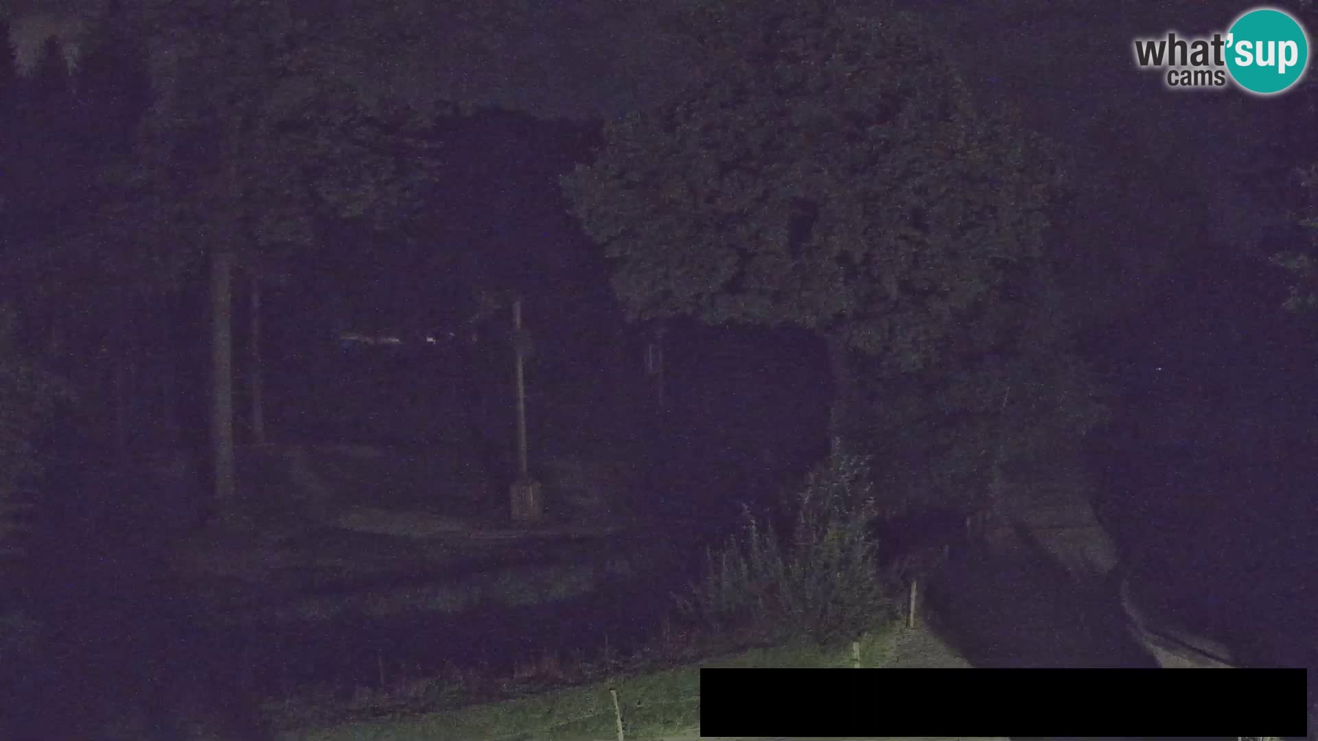 Webcam Zoo Ljubljana – Giraffes