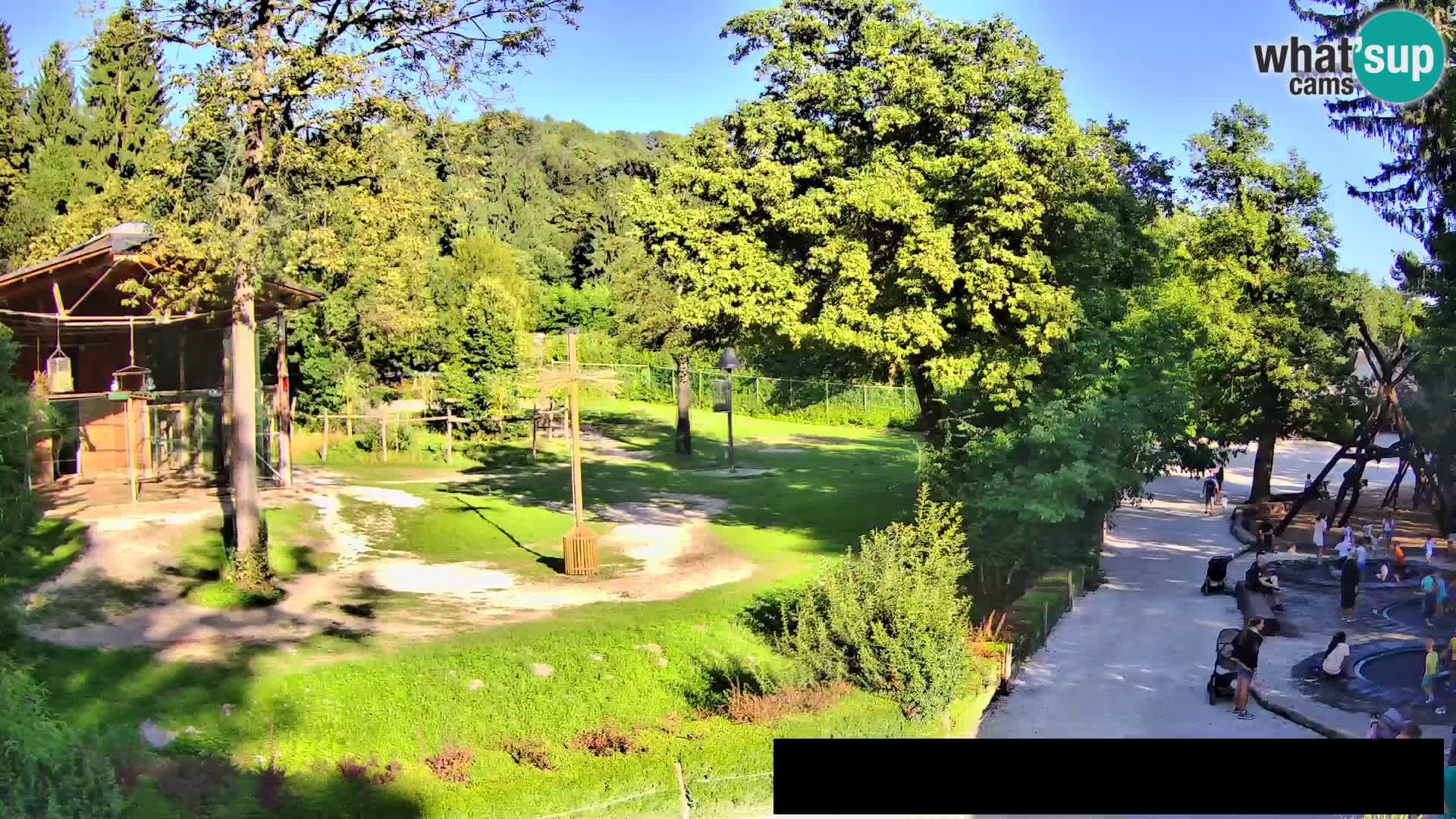Webcam Zoo Ljubljana – Giraffes