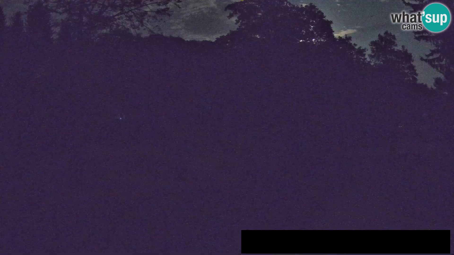 Webcam live Zoo Lubiana – Giraffe