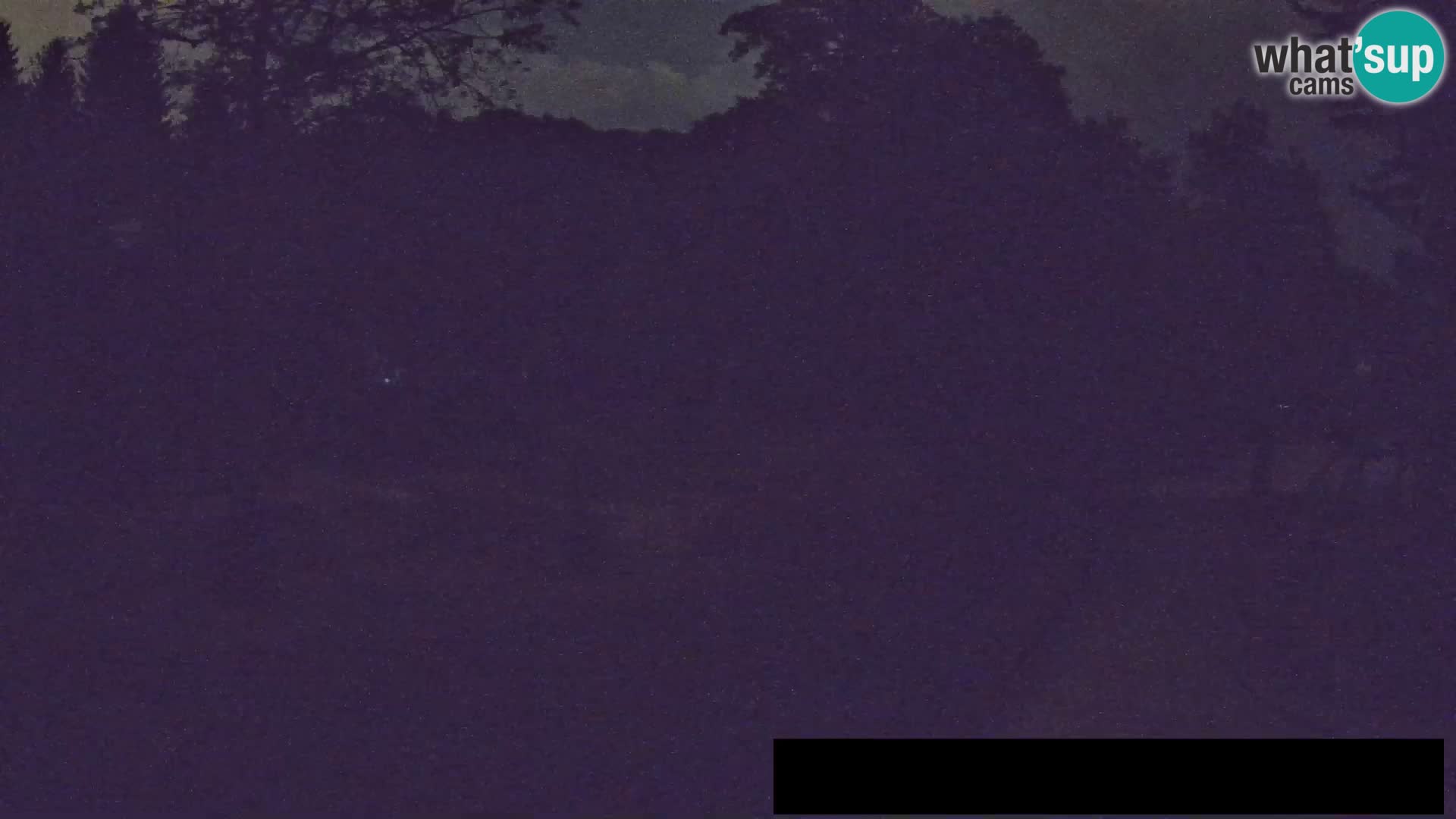 Webcam Zoo Ljubljana – Giraffes