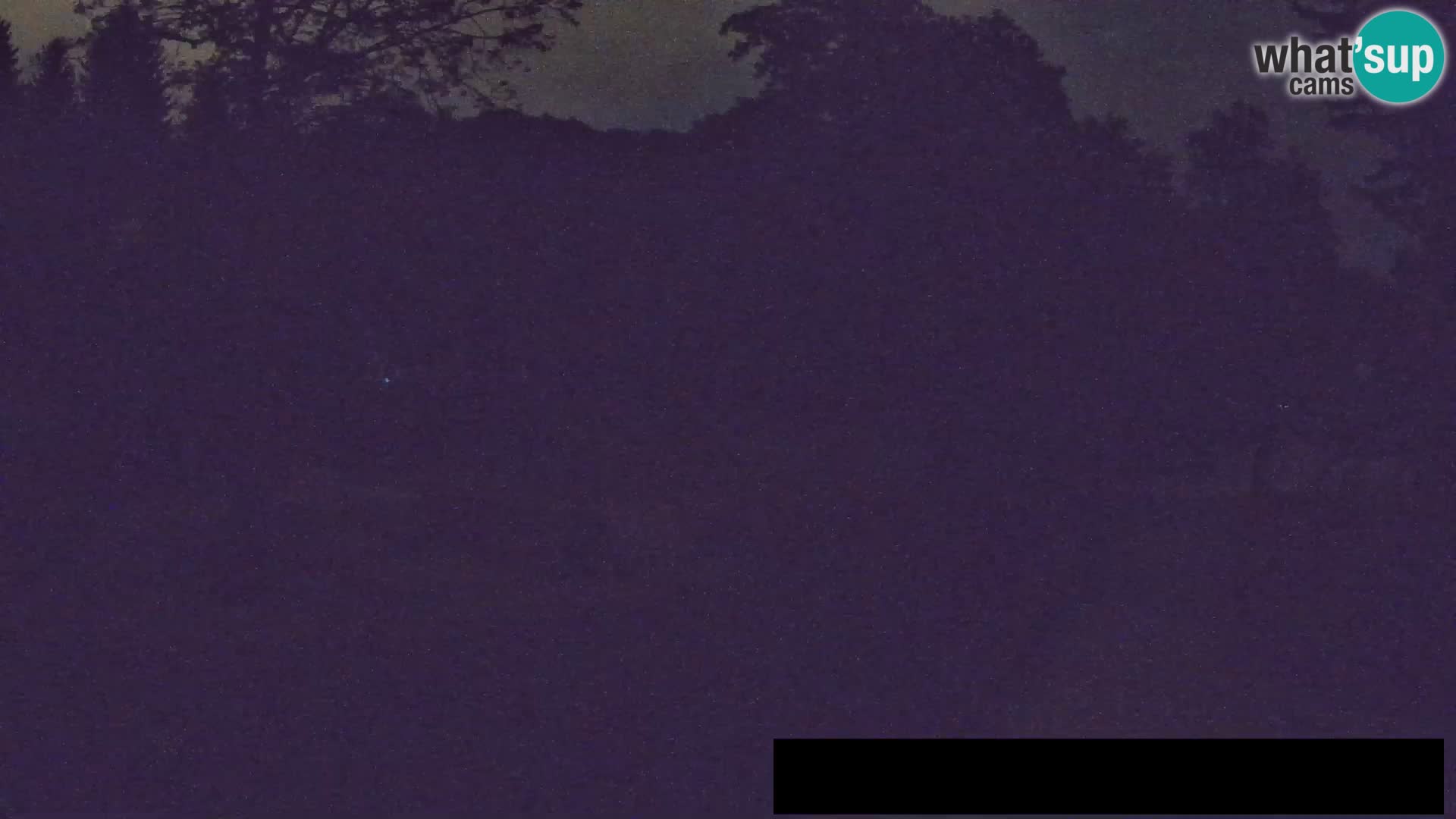 Webcam Zoo Ljubljana – Giraffes