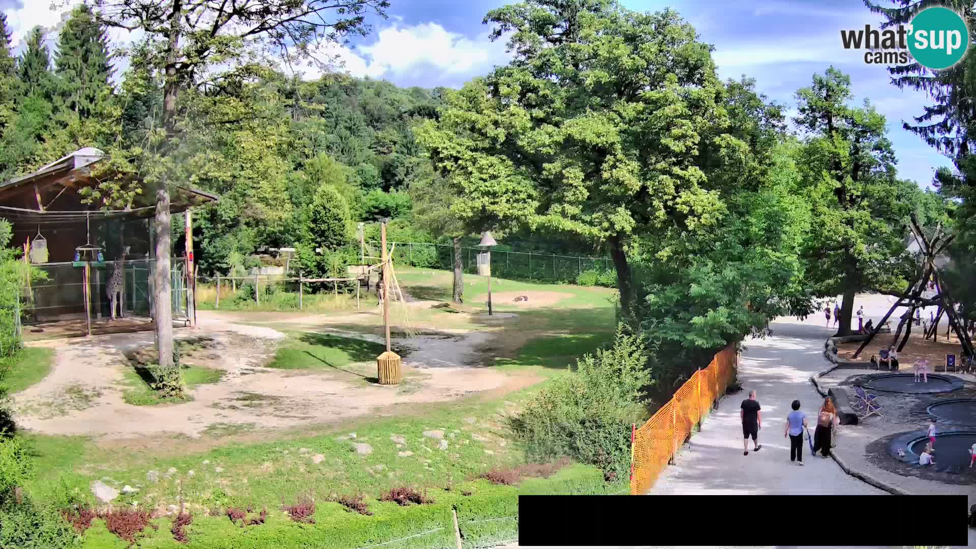 Webcam Zoo Ljubljana – Giraffes