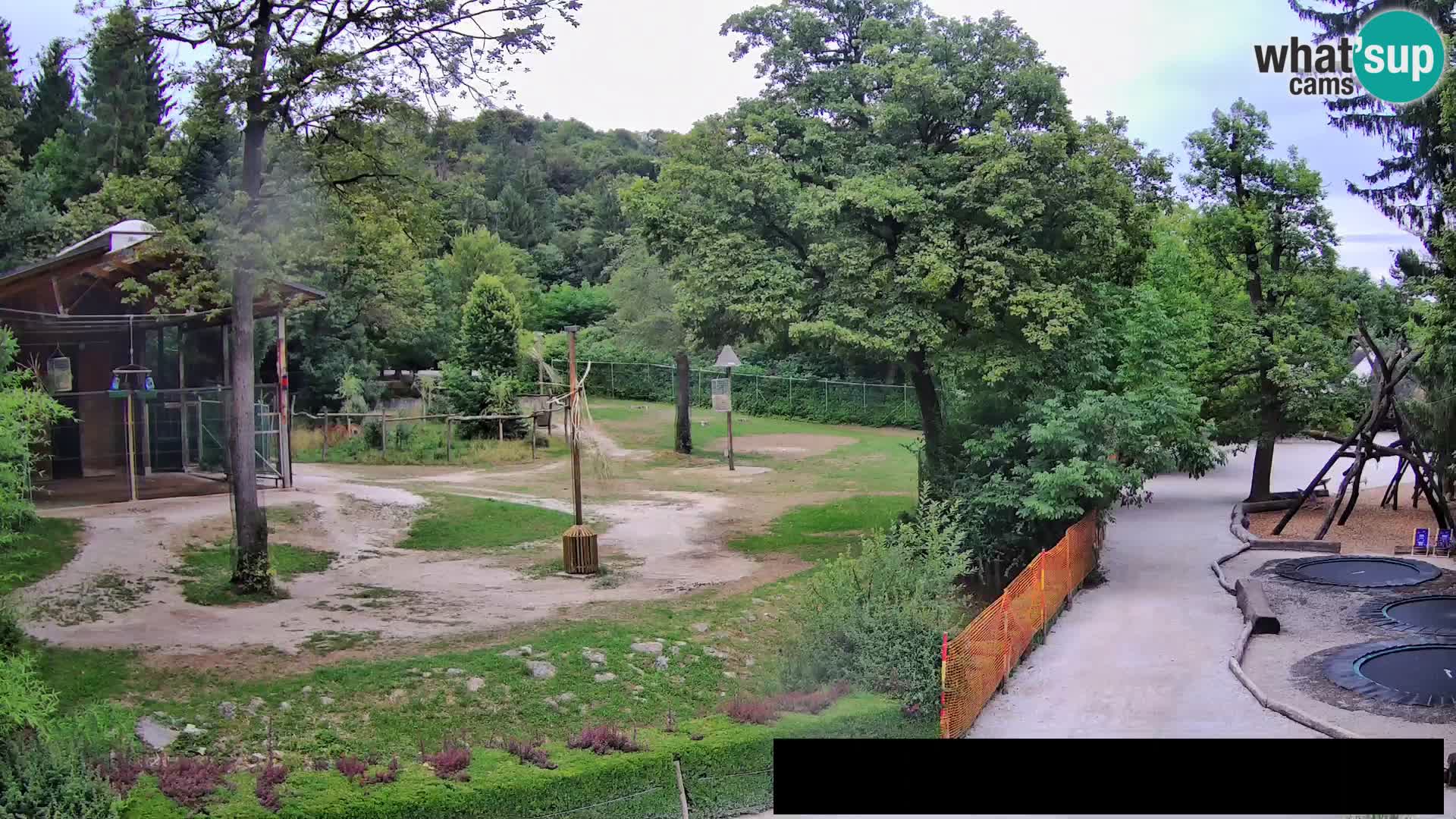 Web kamera Zoo Ljubljana – Žirafe