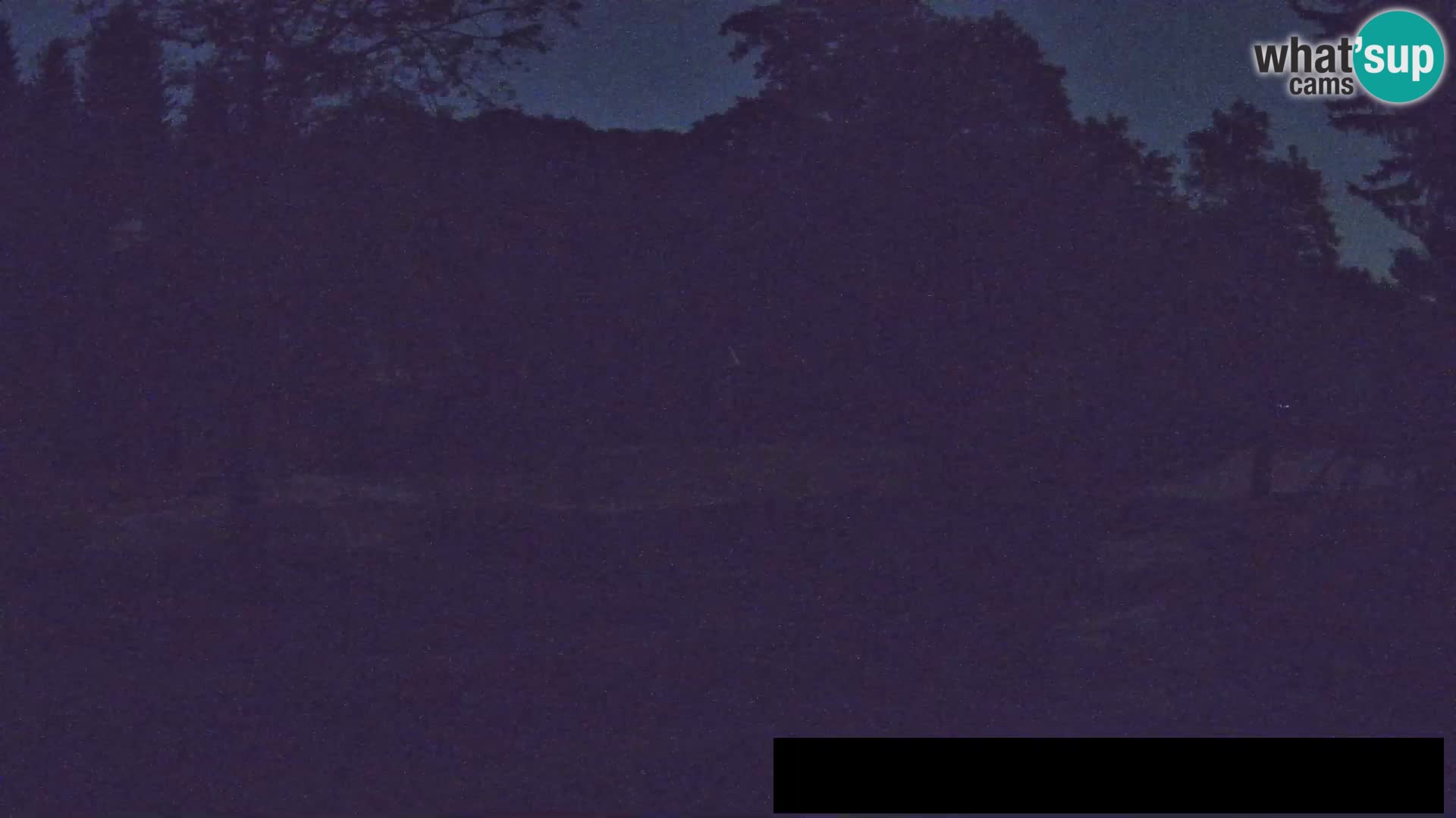 Webcam Zoo Ljubljana – Jirafas