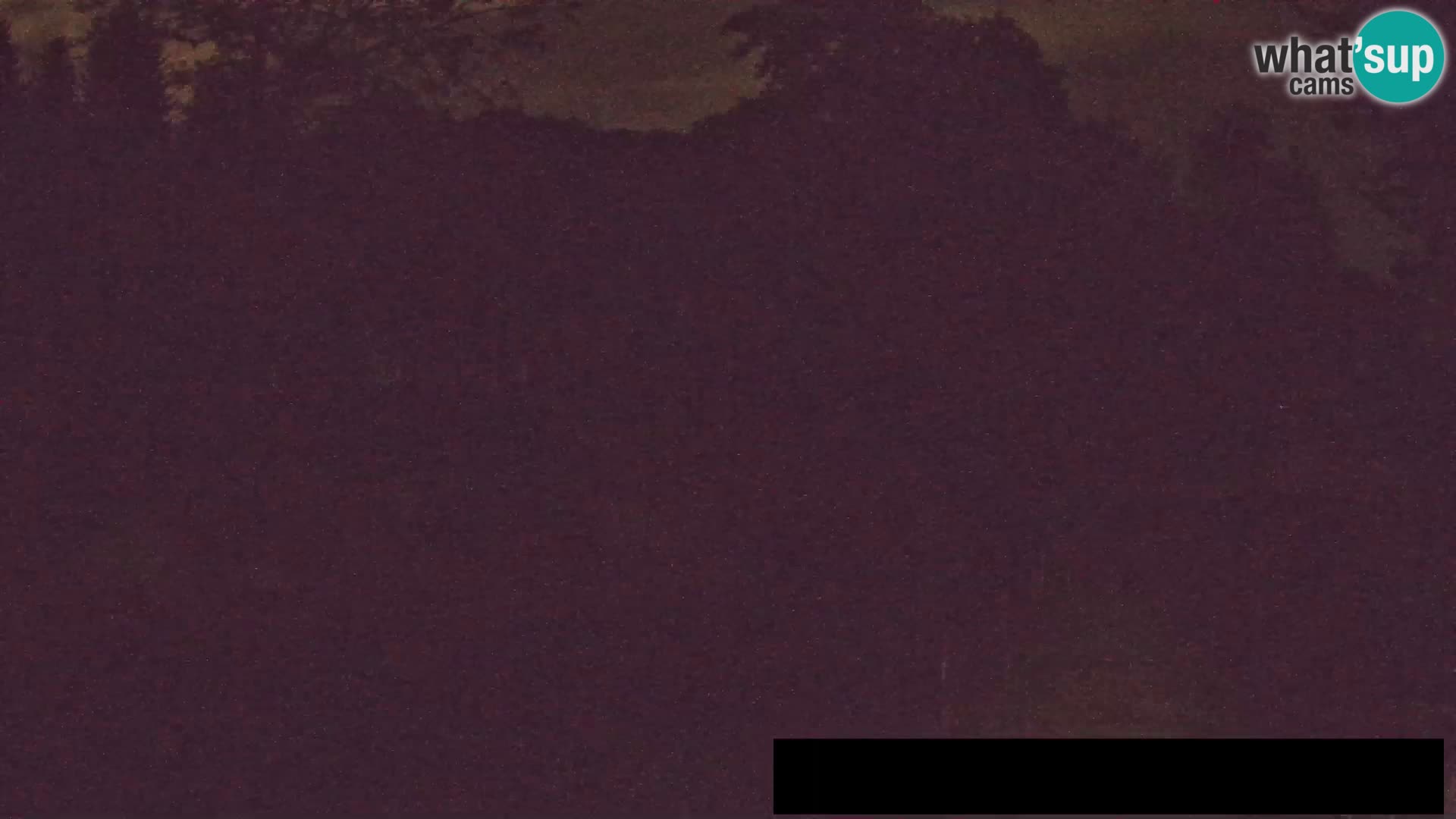 Webcam Zoo Ljubljana – Giraffes