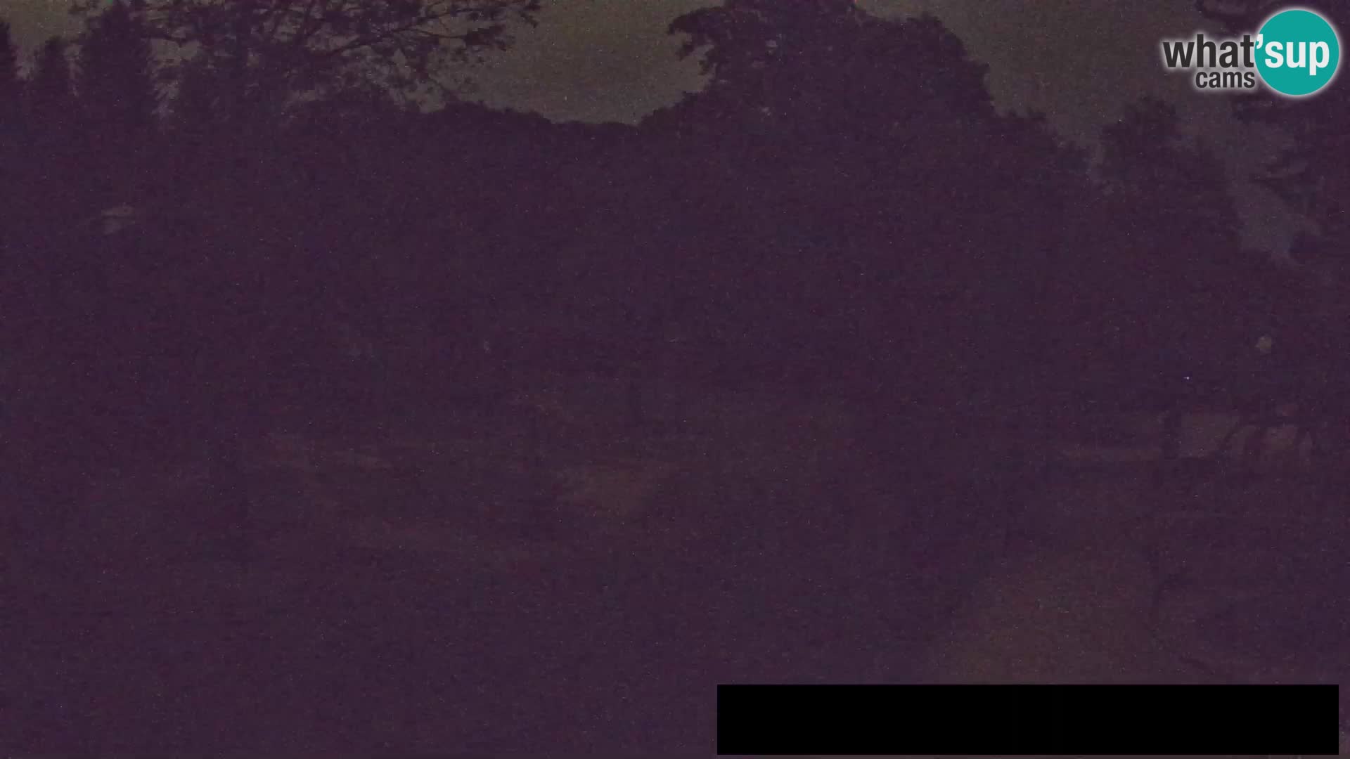 Webcam Zoo Ljubljana – Giraffes