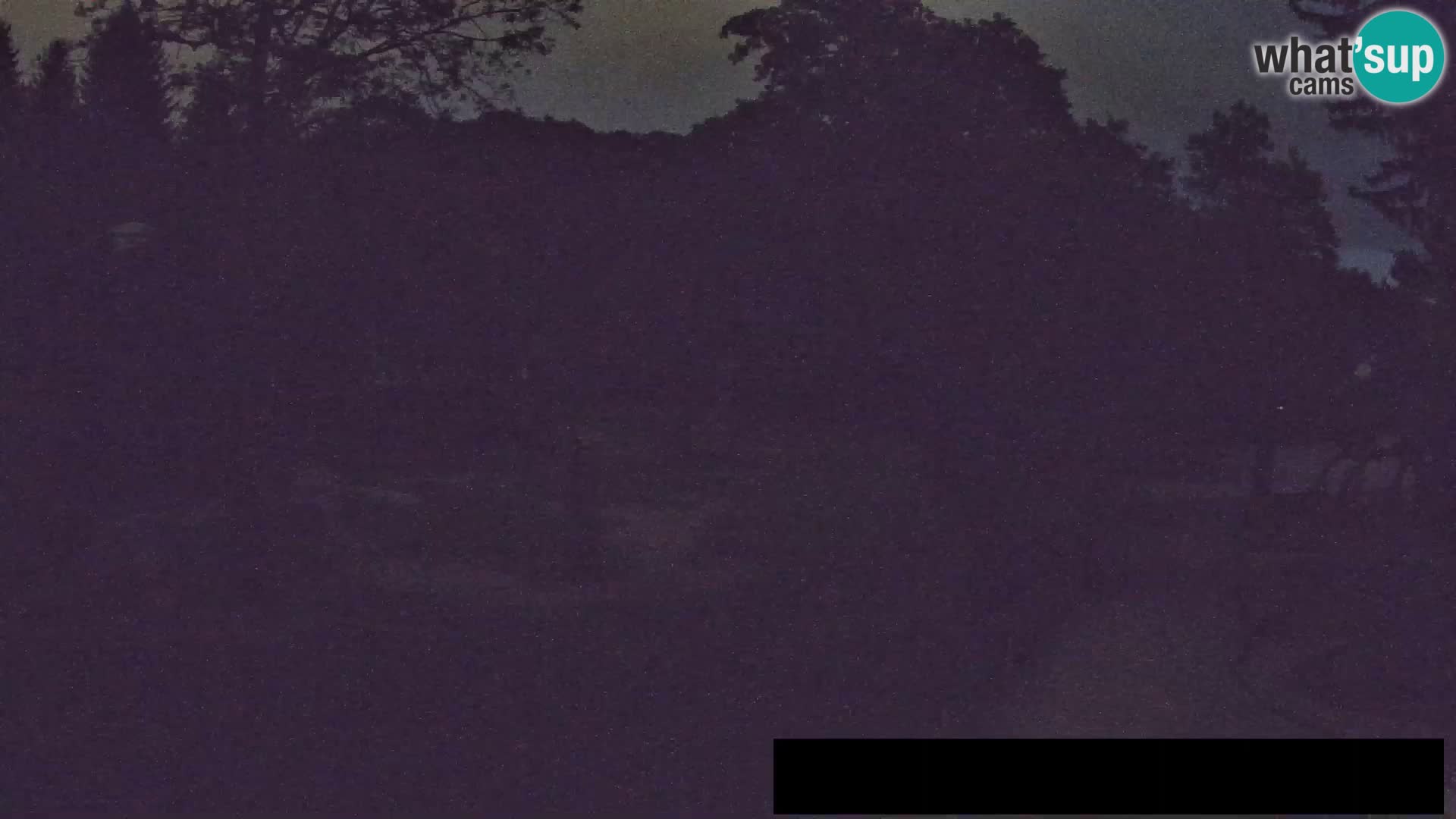 Webcam Zoo Ljubljana – Giraffes