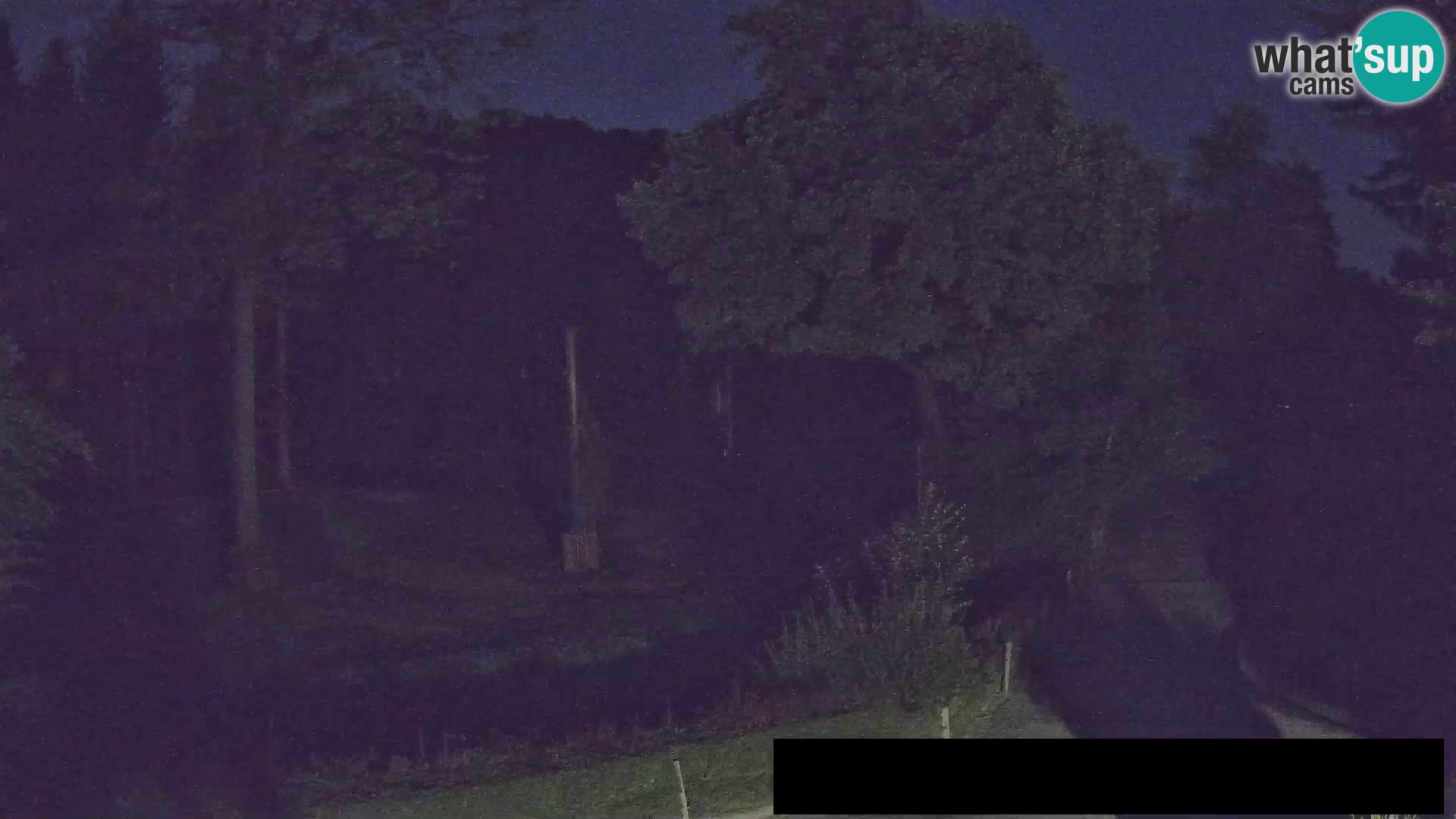 Webcam Zoo Ljubljana – Giraffen