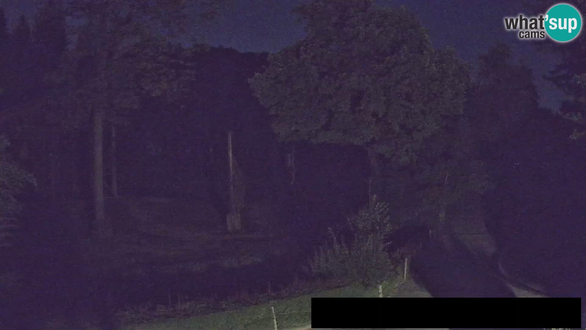 Web kamera Zoo Ljubljana – Žirafe