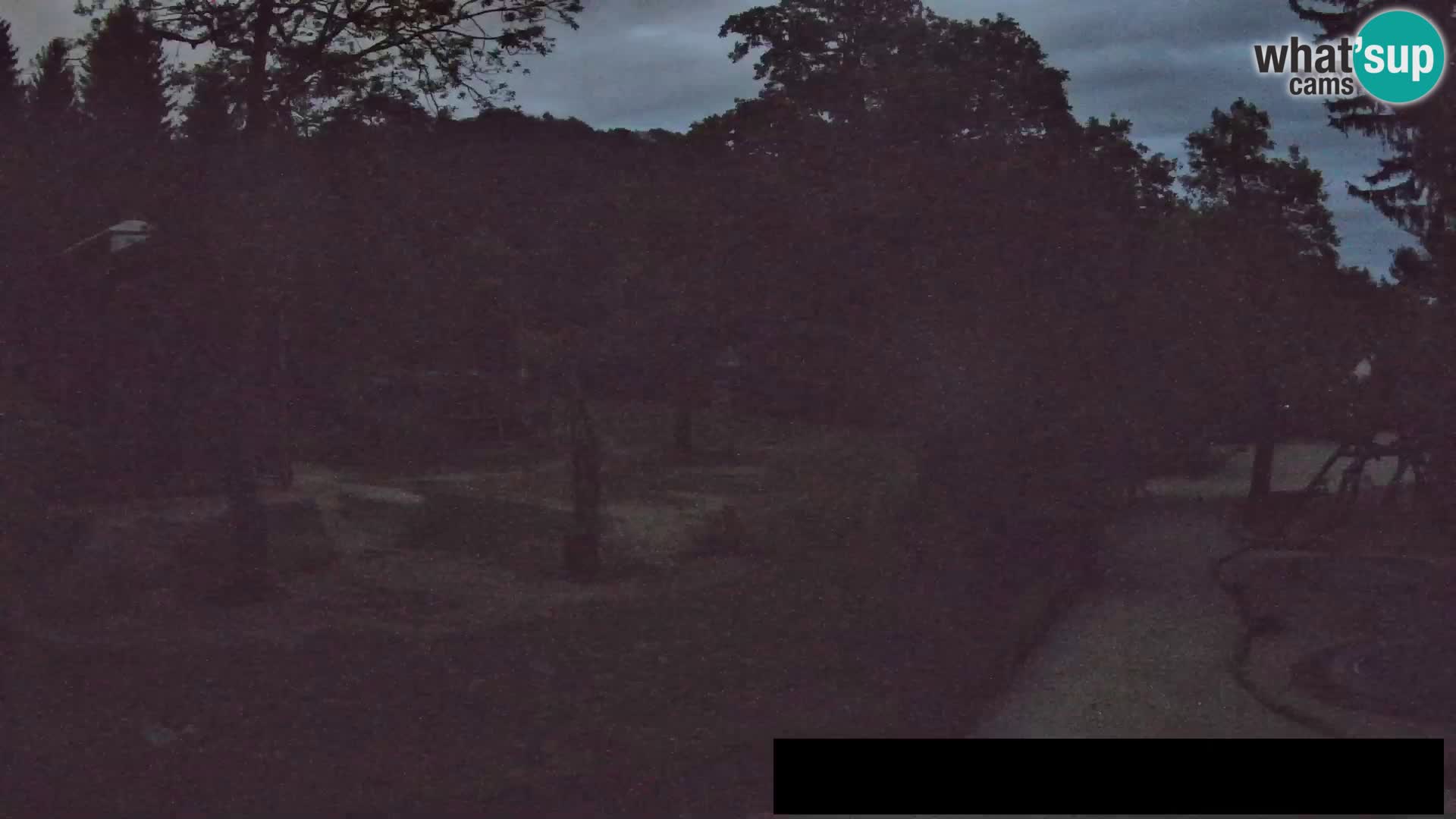 Webcam Zoo Ljubljana – Giraffes
