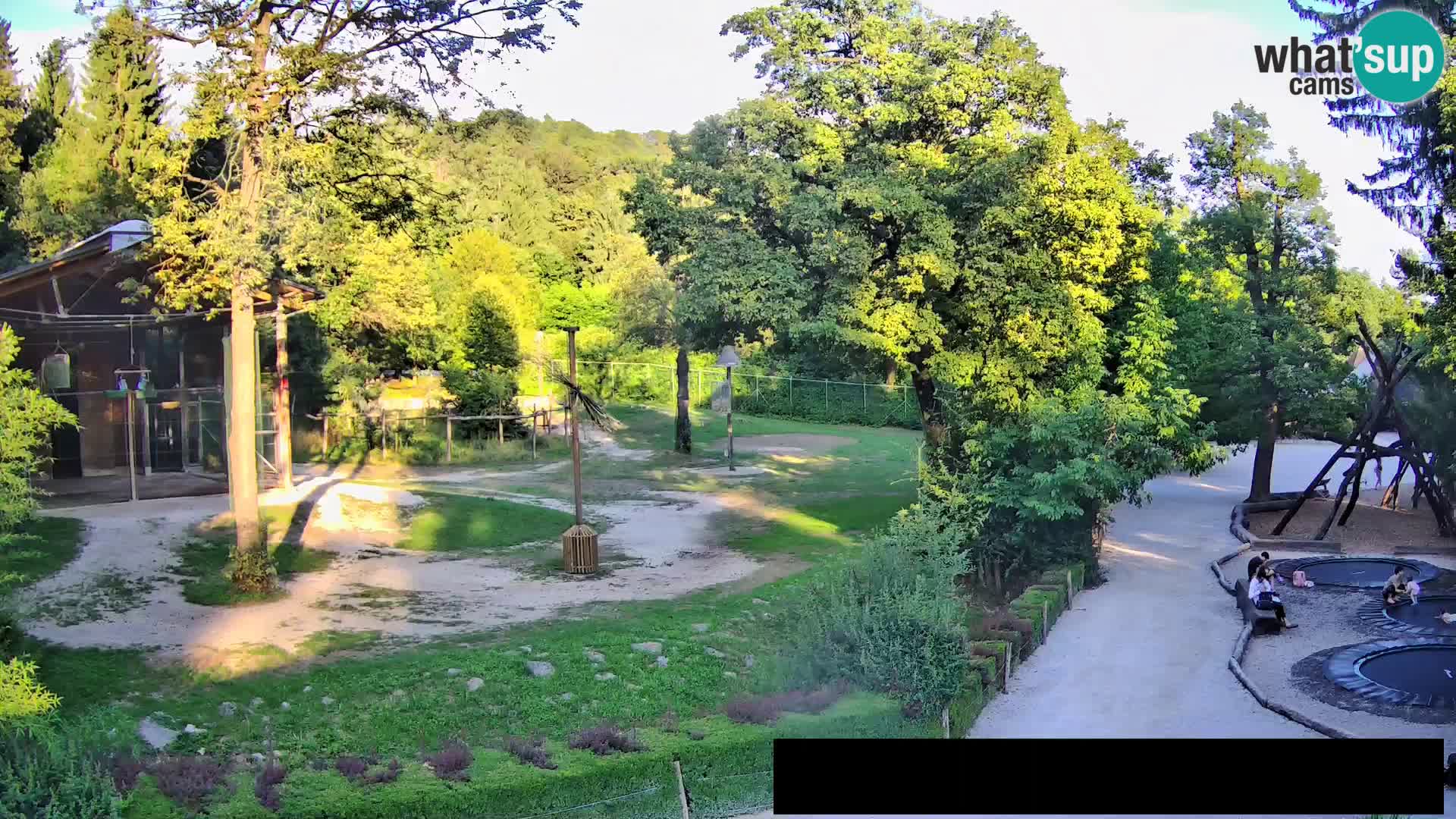 Webcam Zoo Ljubljana – Giraffen
