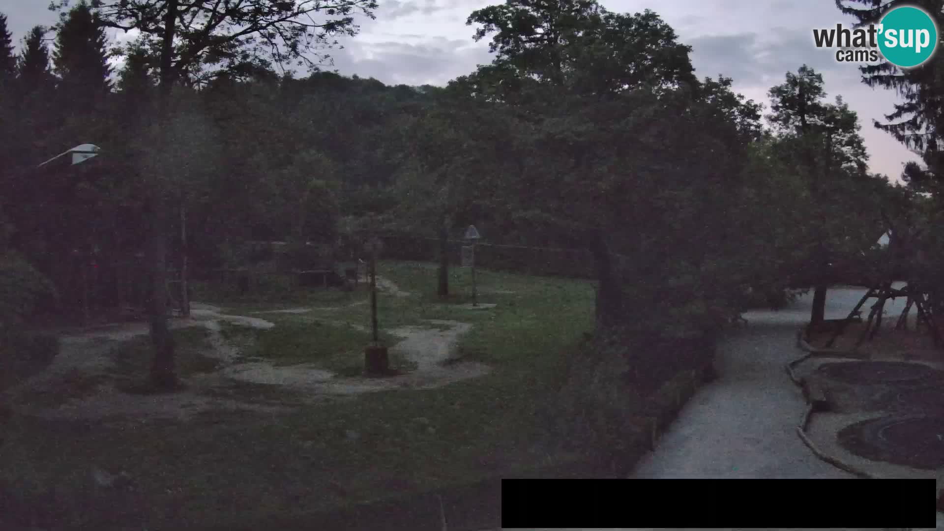 Webcam Zoo Ljubljana – Jirafas