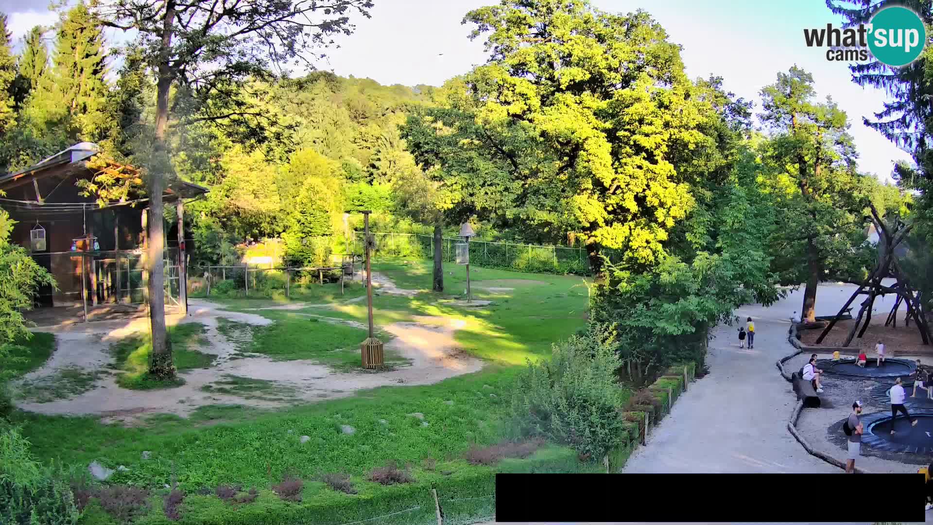 Webcam Zoo Ljubljana – Jirafas