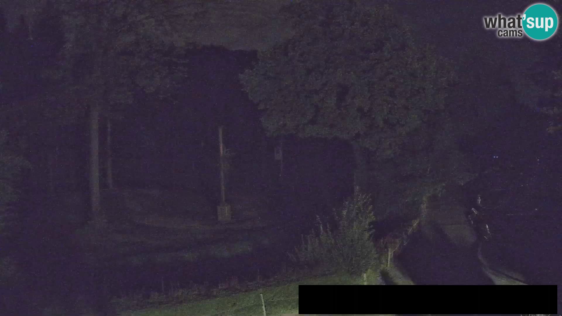 Webcam Zoo Ljubljana – Jirafas