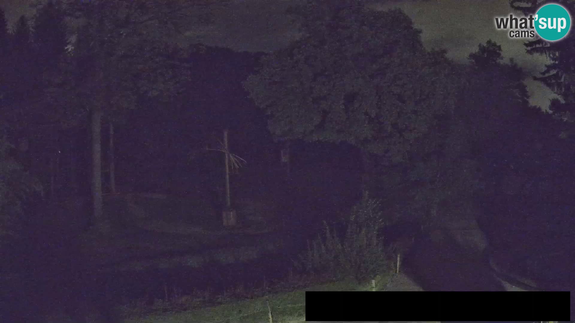Webcam Zoo Ljubljana – Giraffes