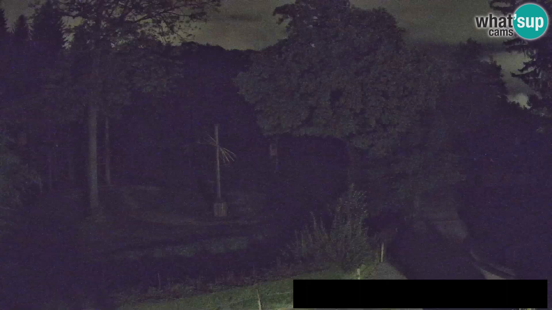 Webcam Zoo Ljubljana – Giraffes