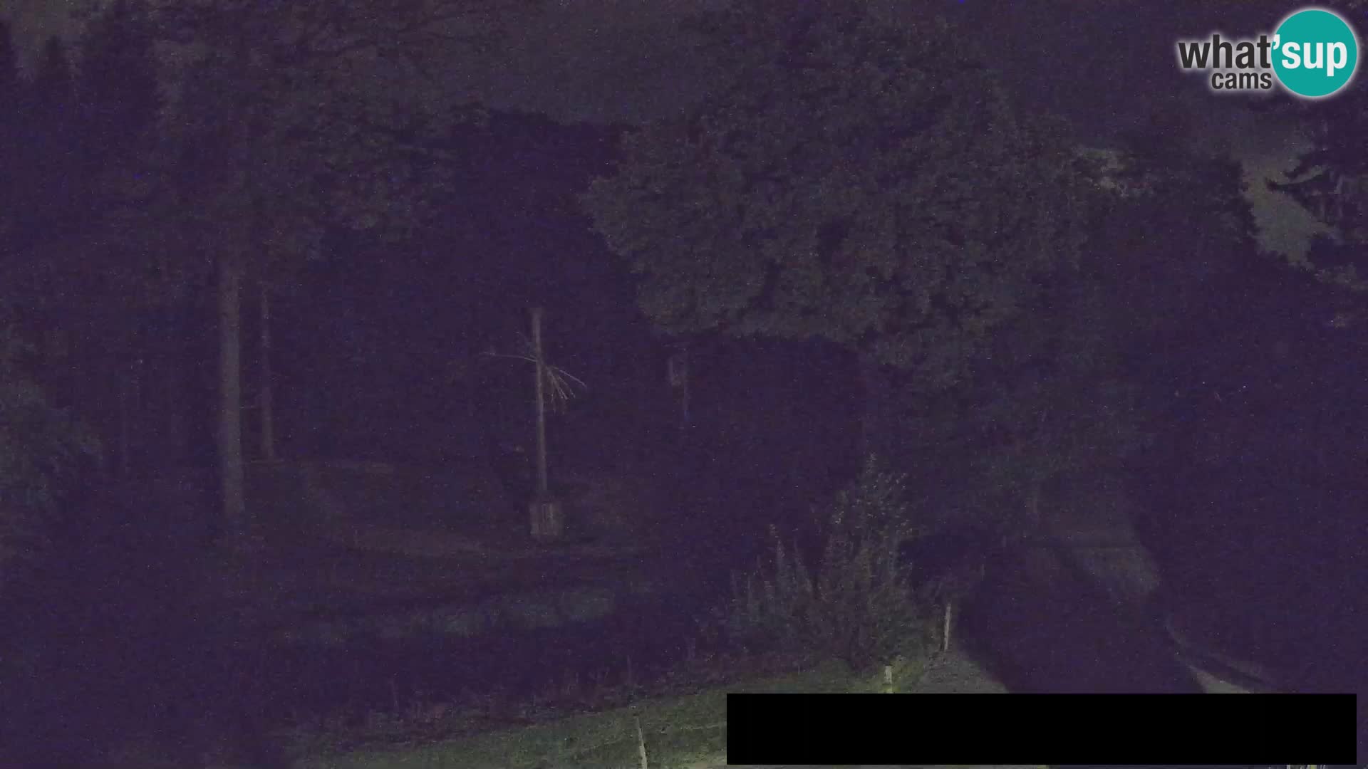 Webcam Zoo Ljubljana – Giraffes
