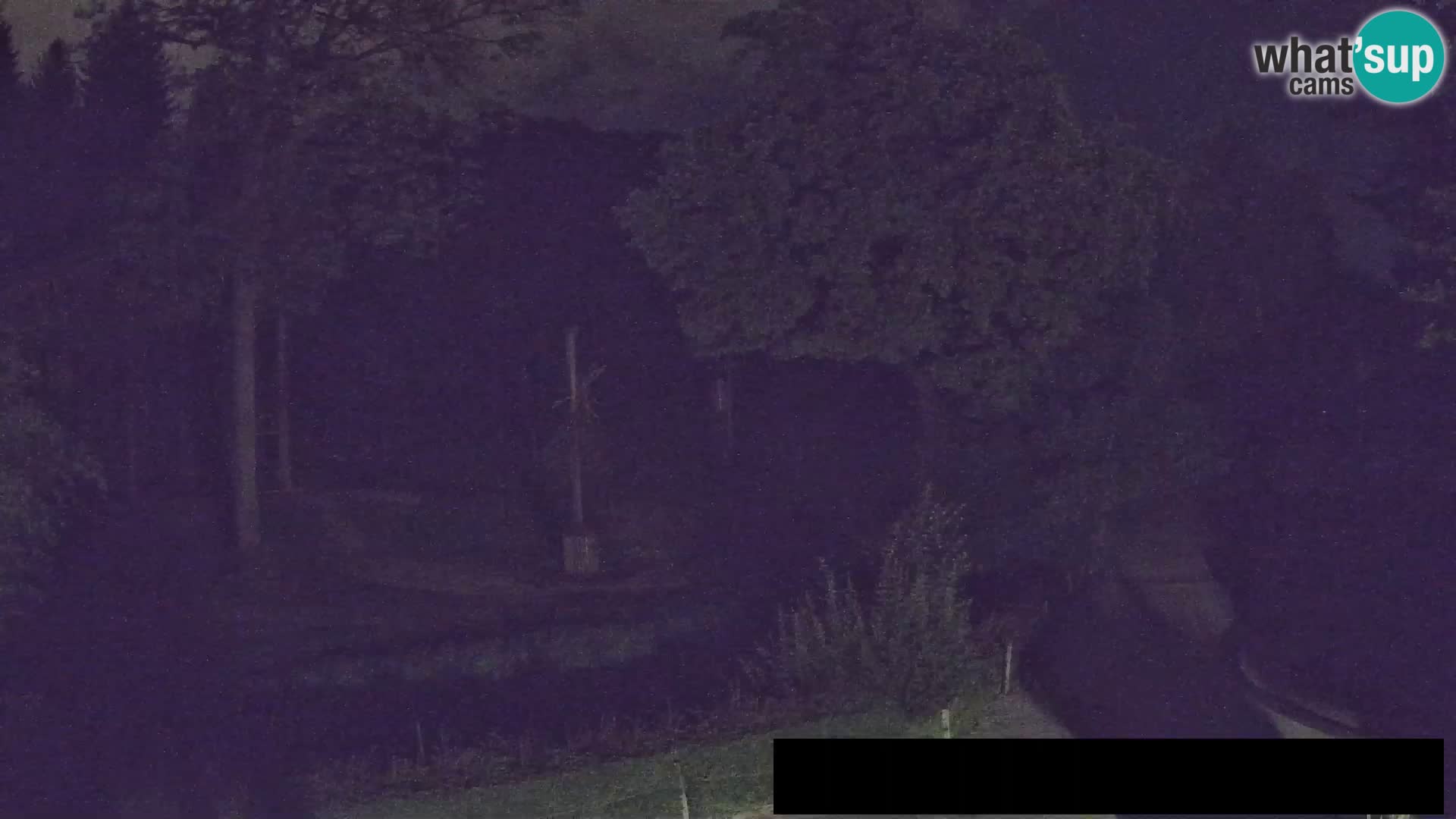 Webcam Zoo Ljubljana – Jirafas