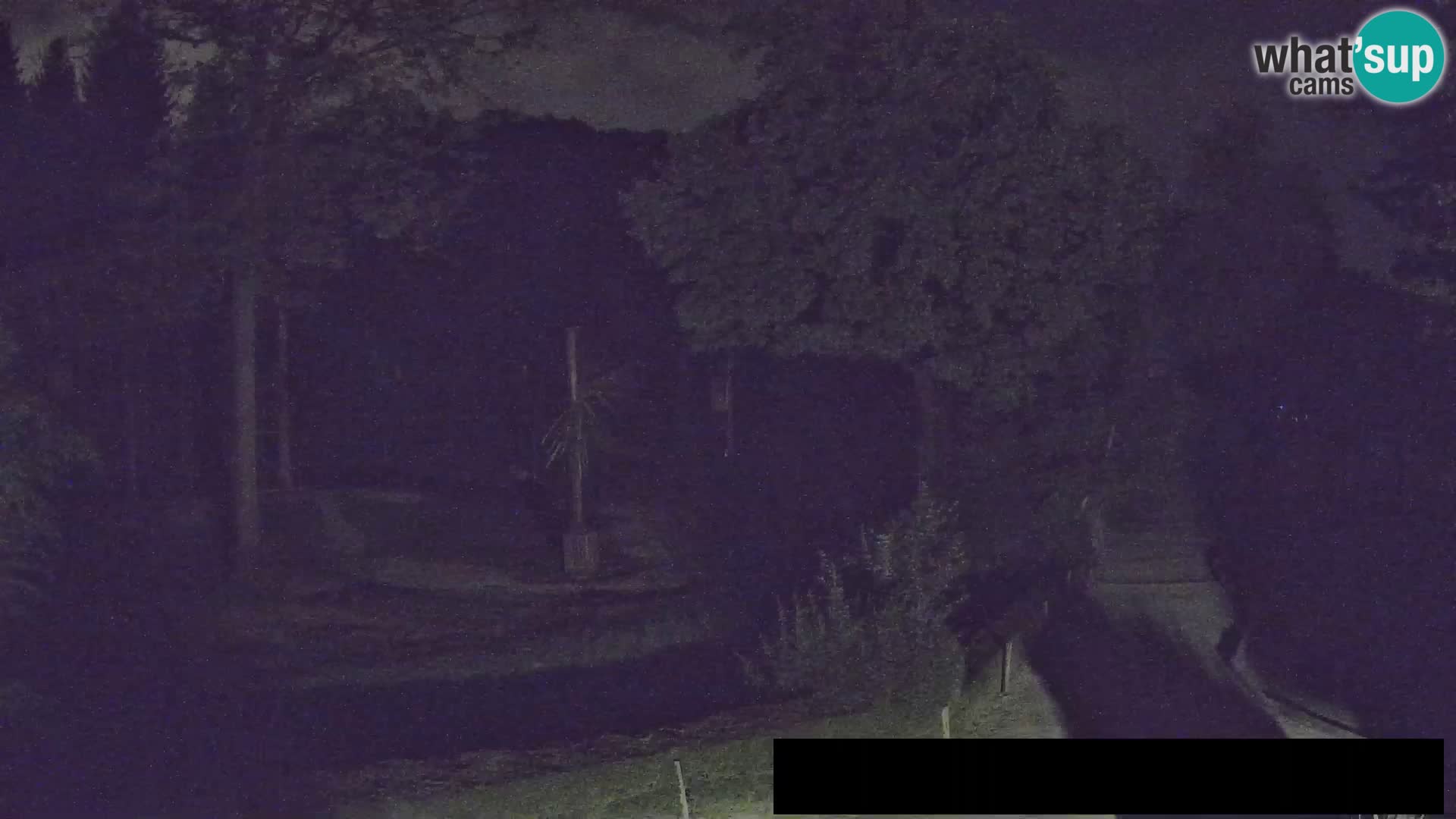 Webcam Zoo Ljubljana – Giraffes