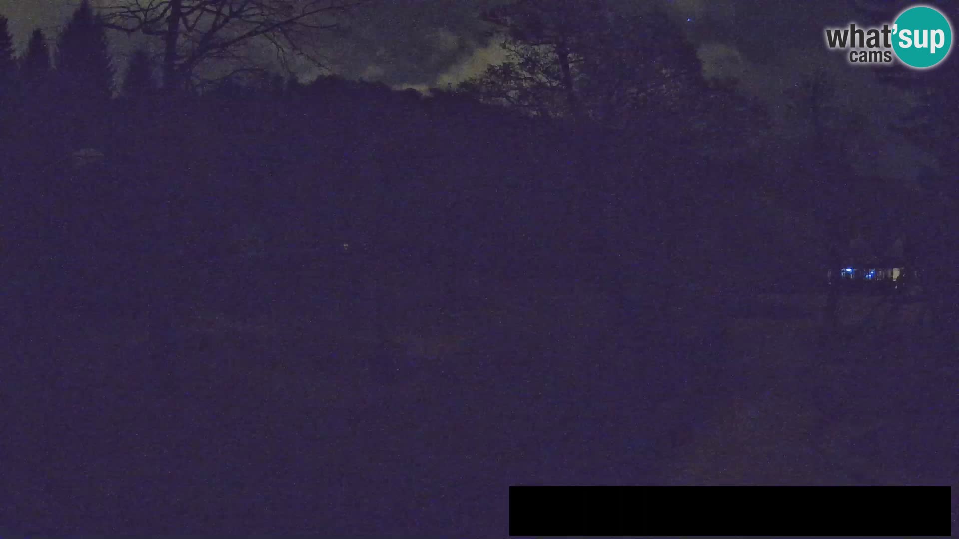 Webcam Zoo Ljubljana – Giraffen