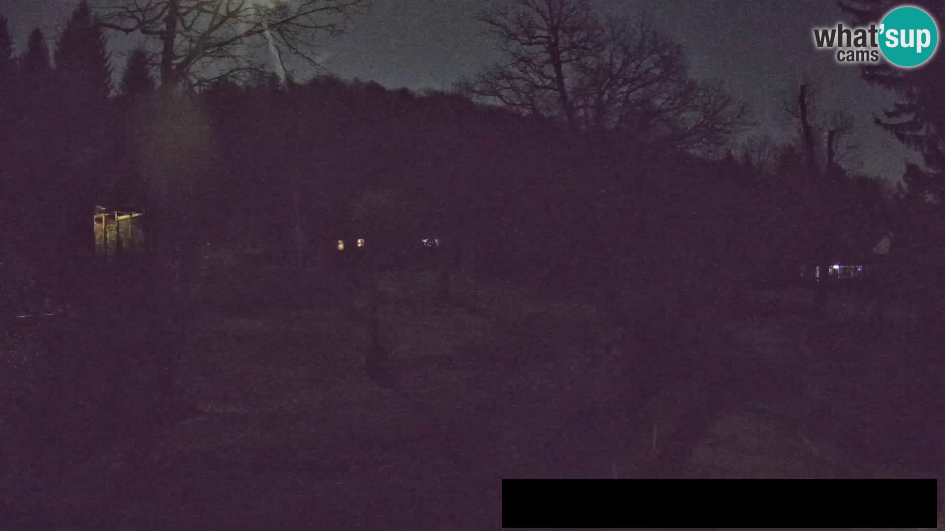 Webcam Zoo Ljubljana – Giraffes