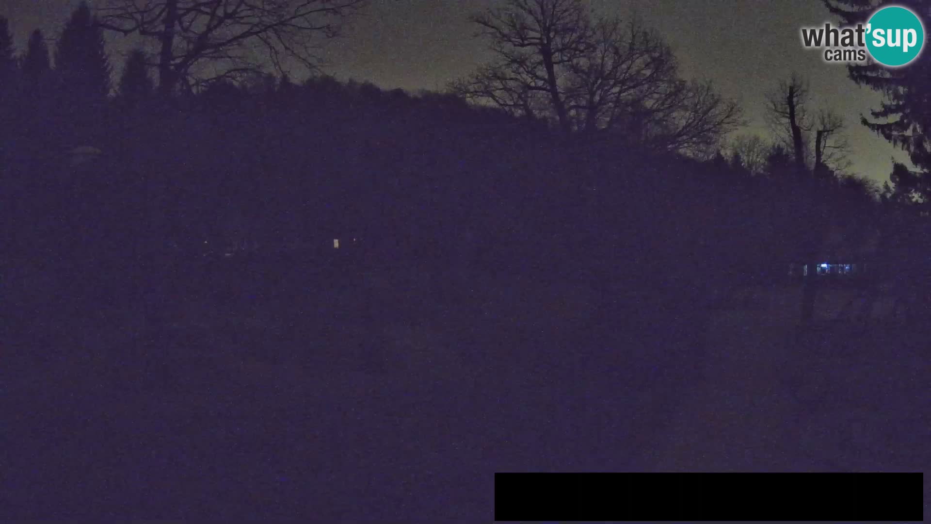 Spletna kamera Živalski vrt Ljubljana – Žirafe