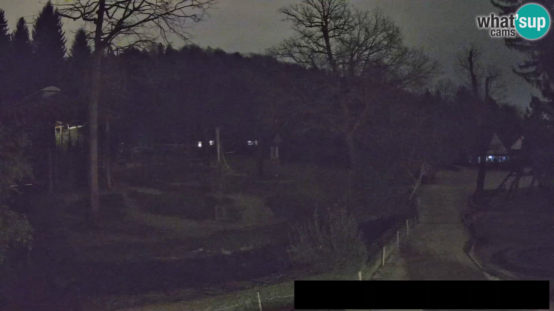 Webcam Zoo Ljubljana – Jirafas