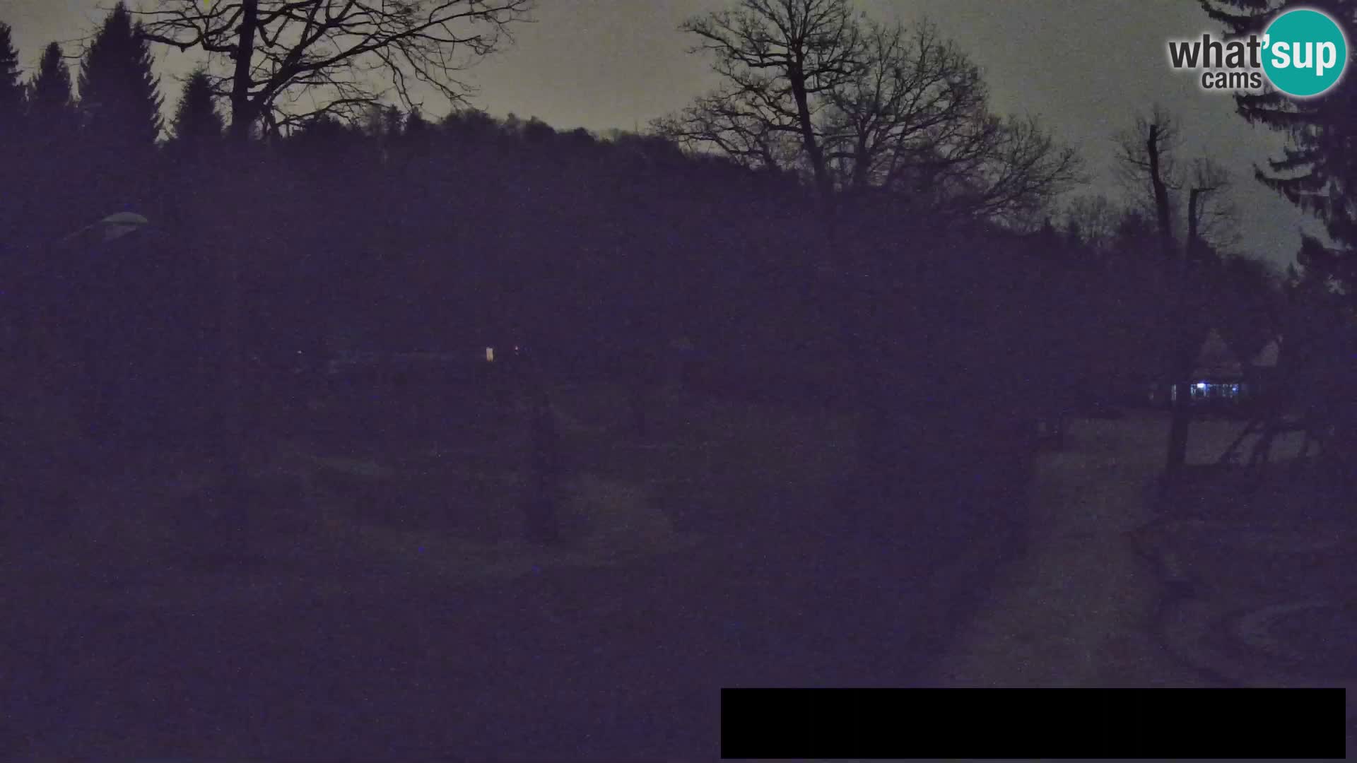 Webcam Zoo Ljubljana – Giraffes