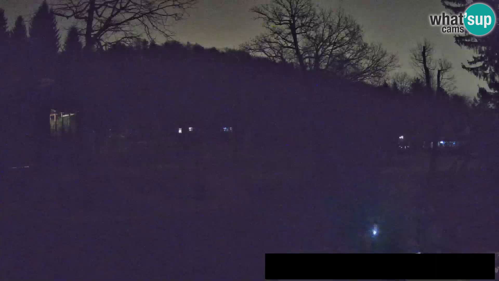 Webcam Zoo Ljubljana – Giraffen