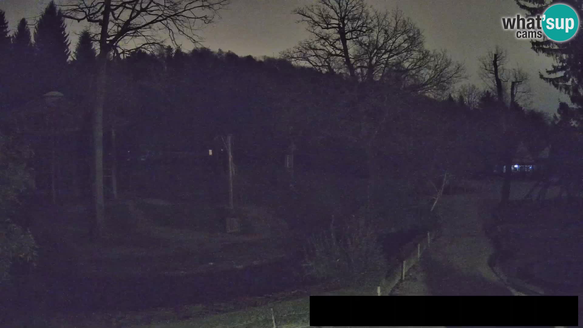 Spletna kamera Živalski vrt Ljubljana – Žirafe