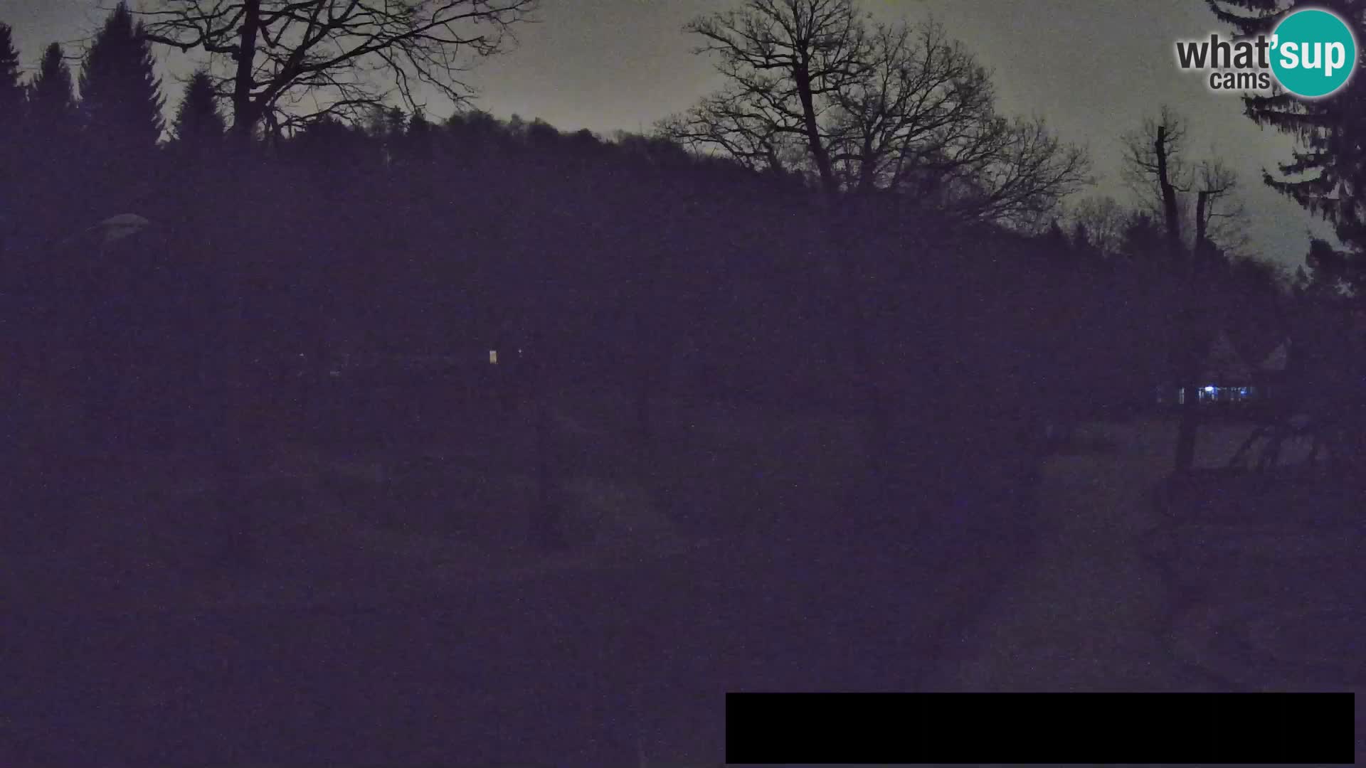 Webcam Zoo Ljubljana – Jirafas