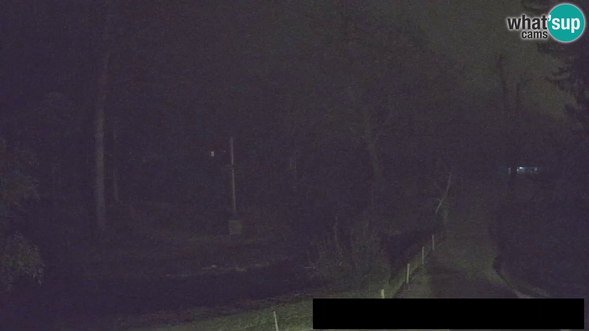 Webcam live Zoo Lubiana – Giraffe