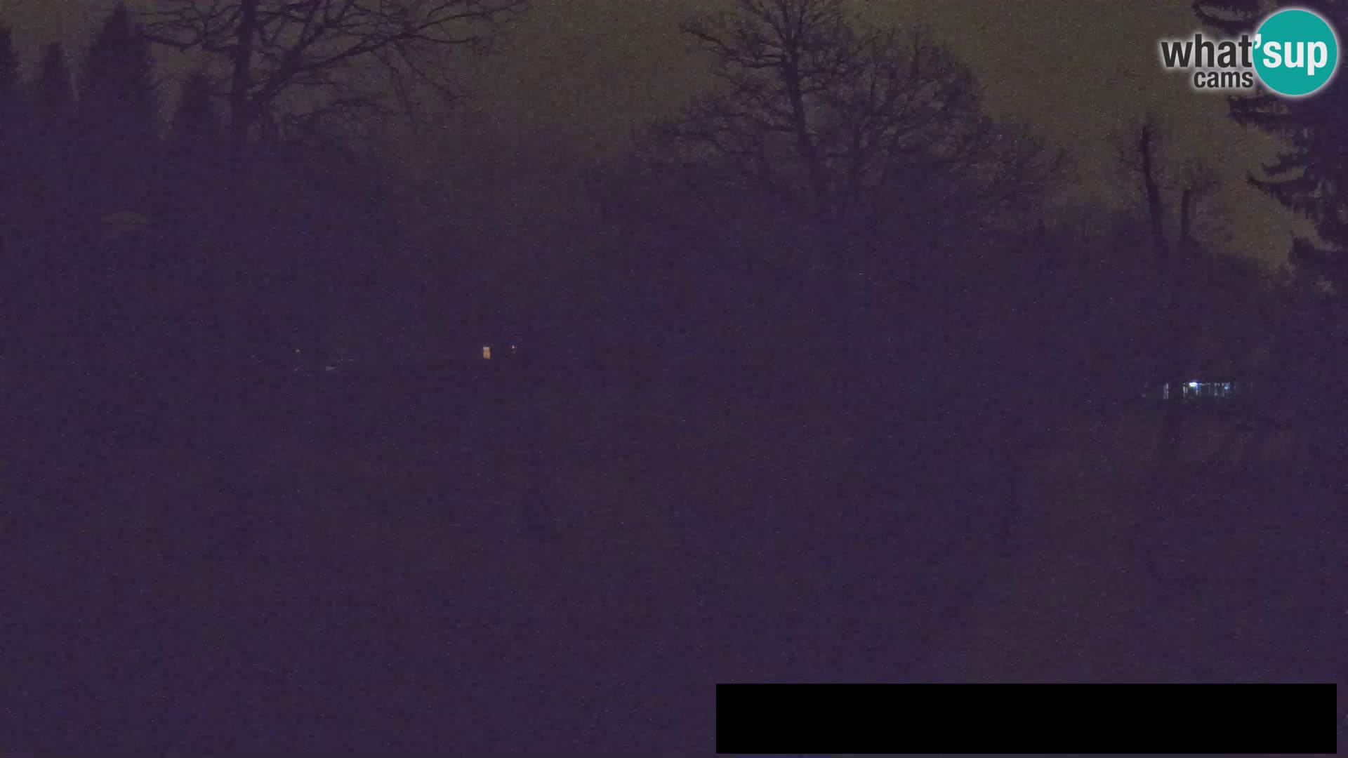 Webcam live Zoo Lubiana – Giraffe