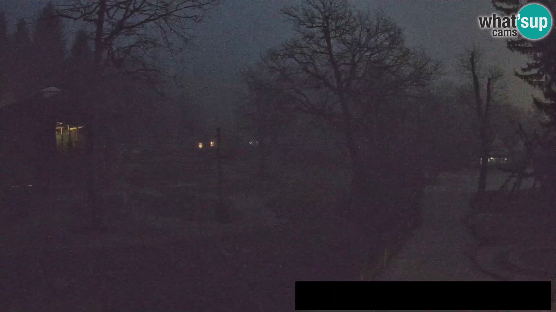 Webcam Zoo Ljubljana – Giraffes