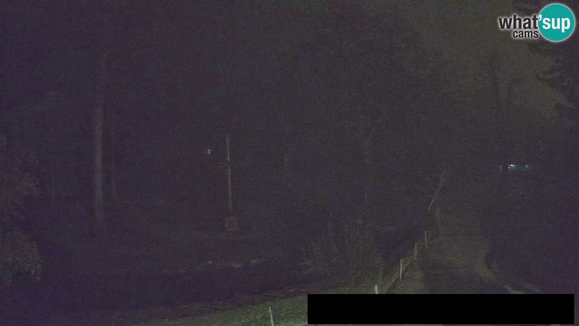 Spletna kamera Živalski vrt Ljubljana – Žirafe