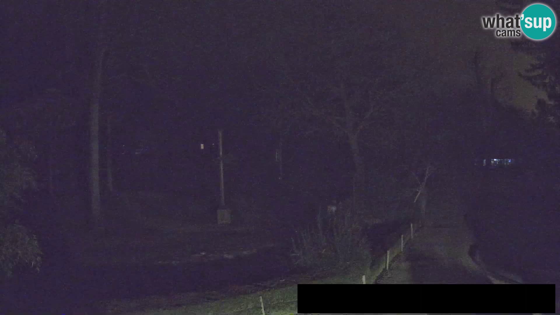 Webcam Zoo Ljubljana – Giraffen